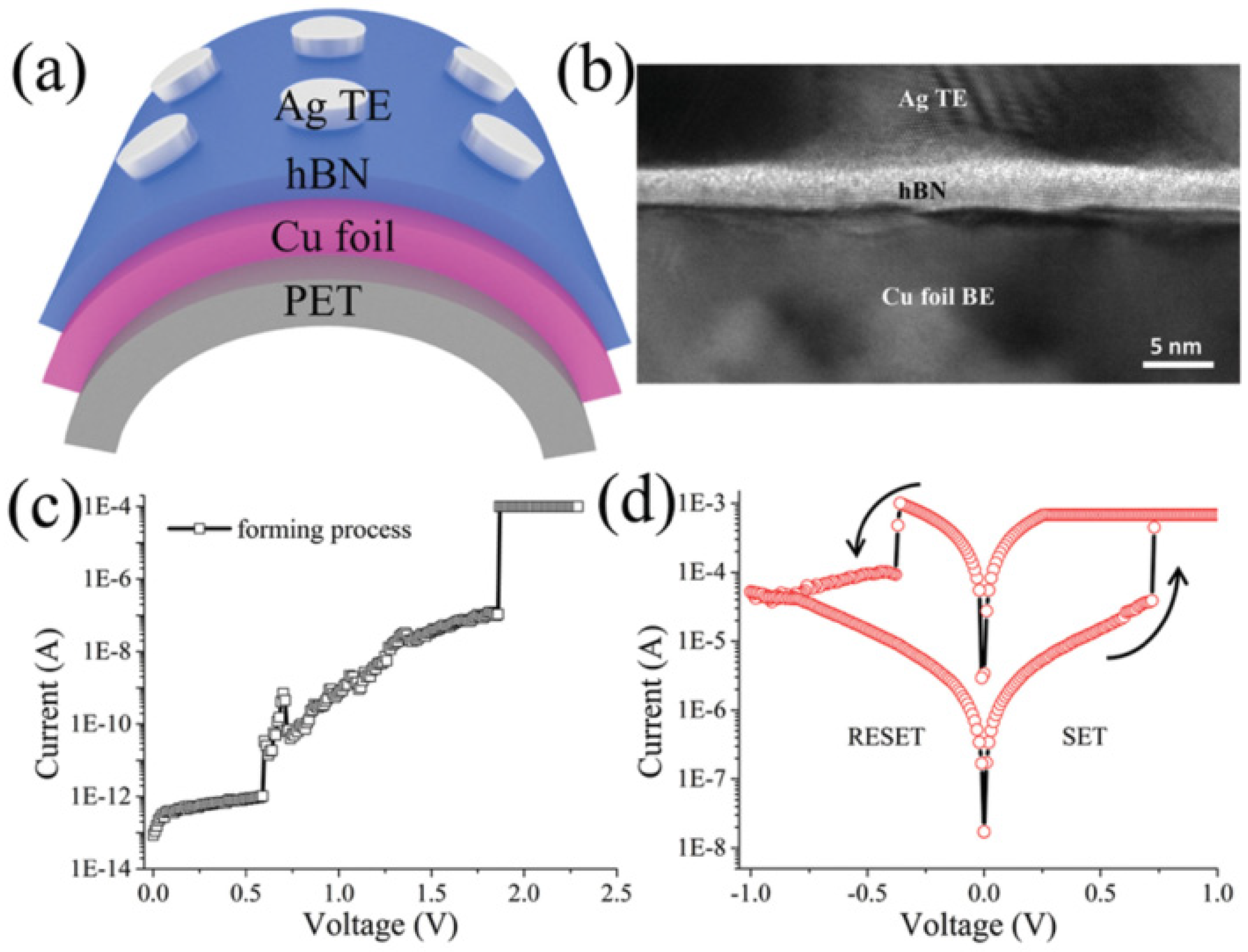Coatings 12 00021 g006