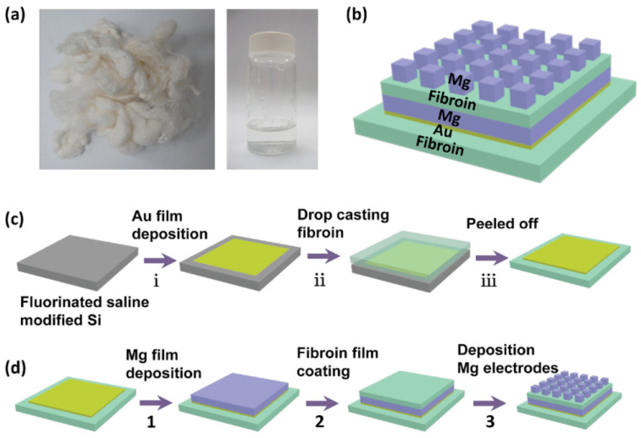 Coatings 12 00021 g008