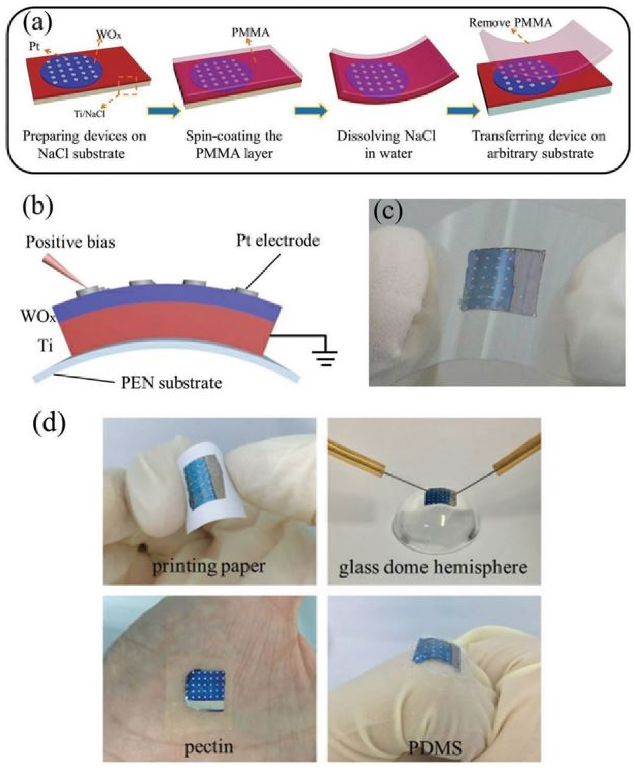 Coatings 12 00021 g011