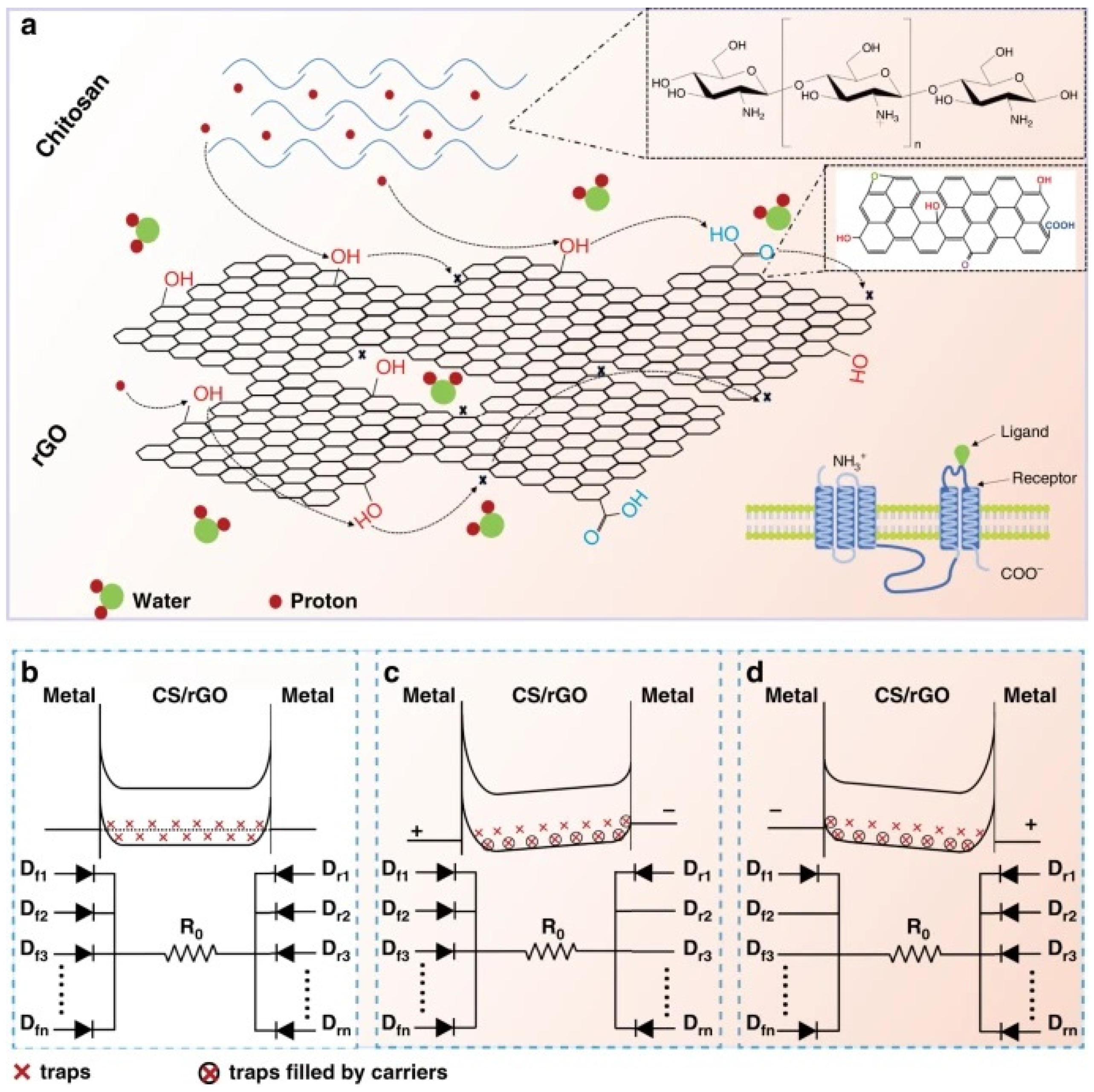 Coatings 12 00021 g014