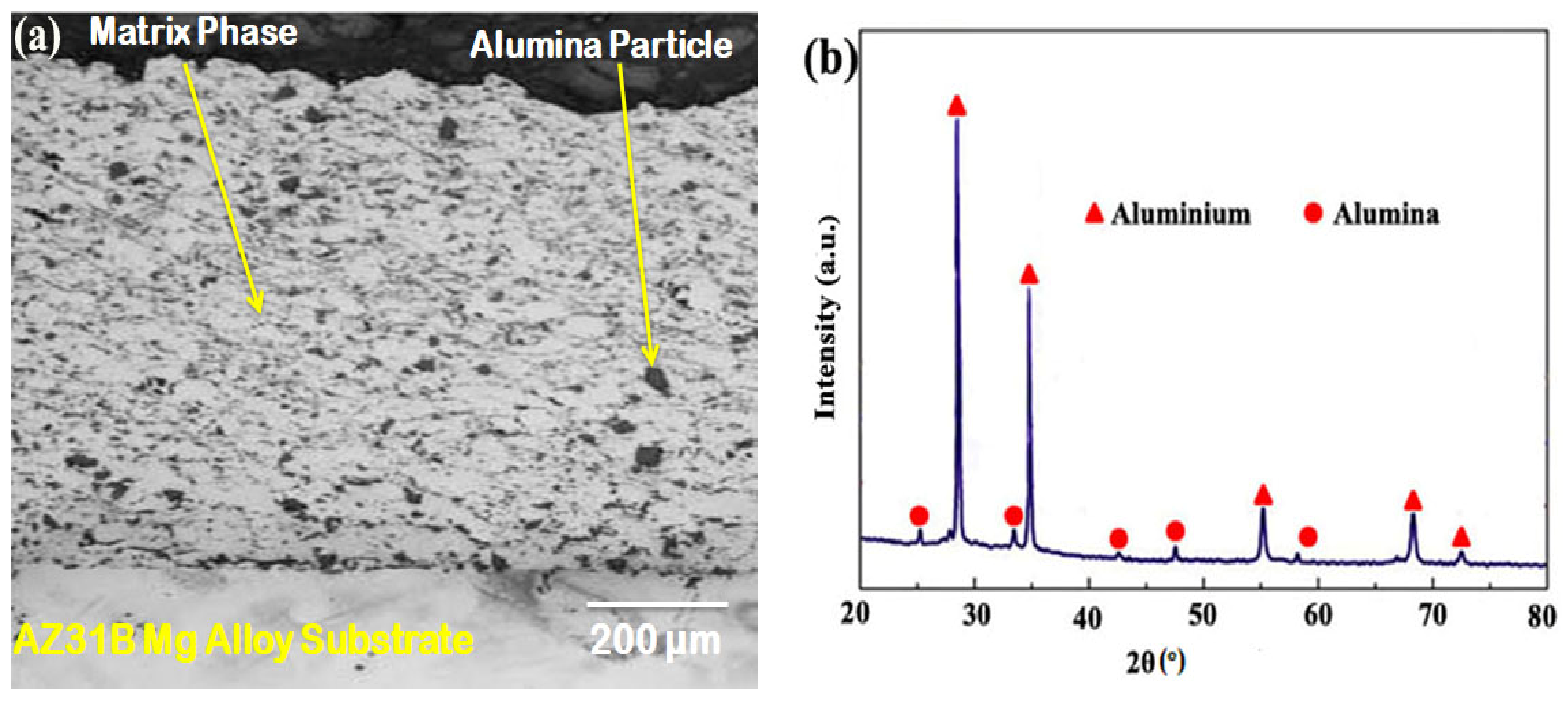 Coatings 12 00135 g003