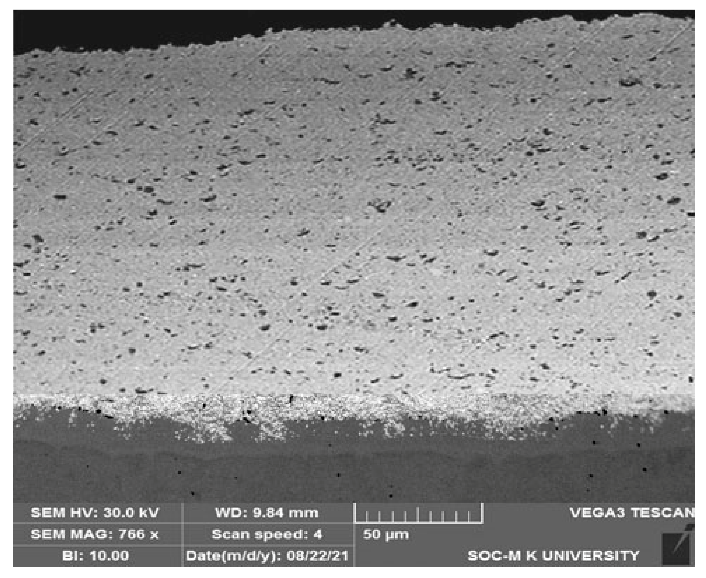 Coatings 12 00135 g004