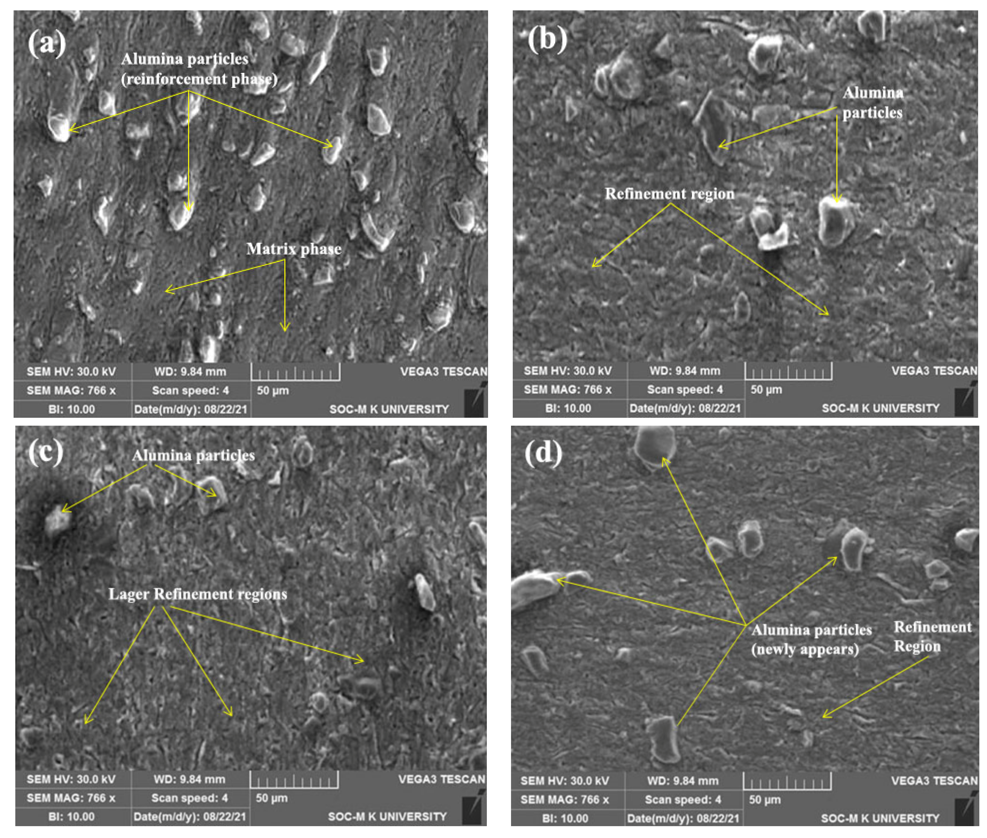 Coatings 12 00135 g005