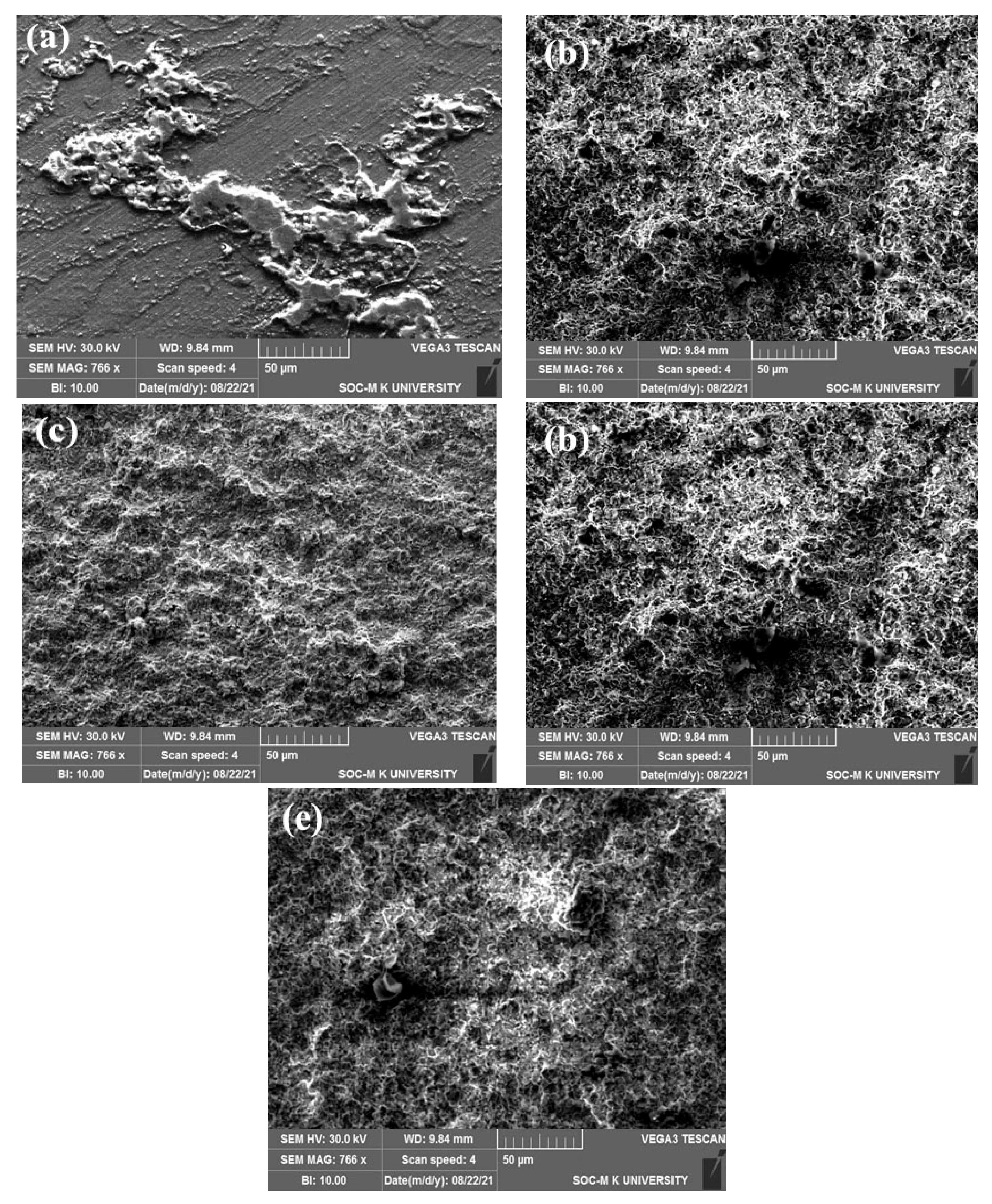 Coatings 12 00135 g008