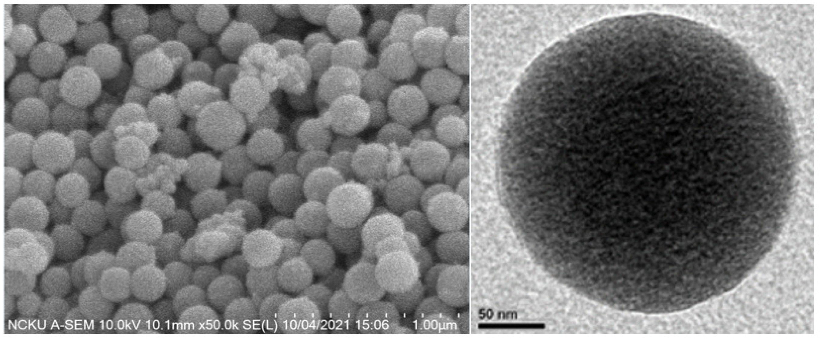 Coatings 12 00146 g001