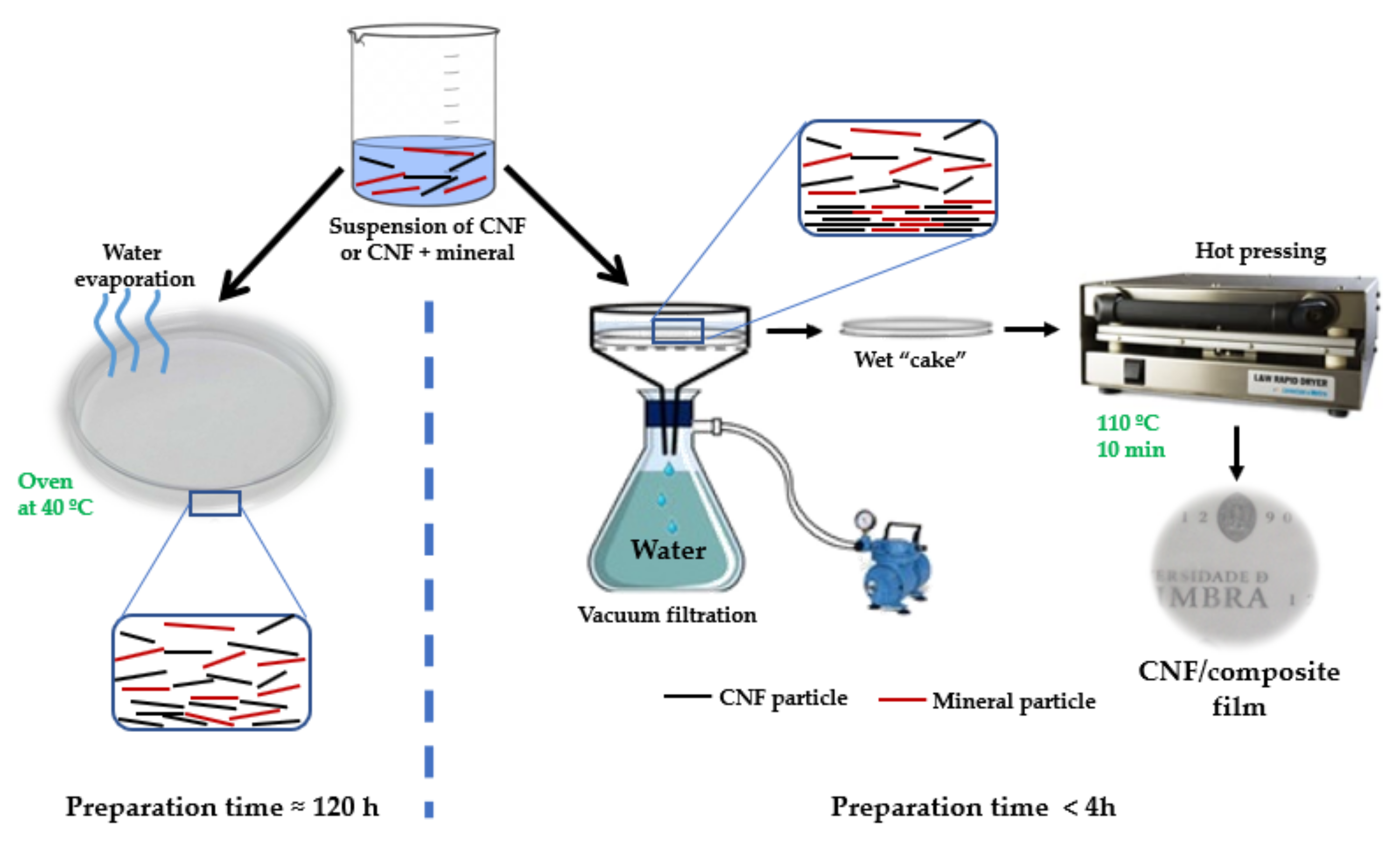 Coatings 12 00303 g001