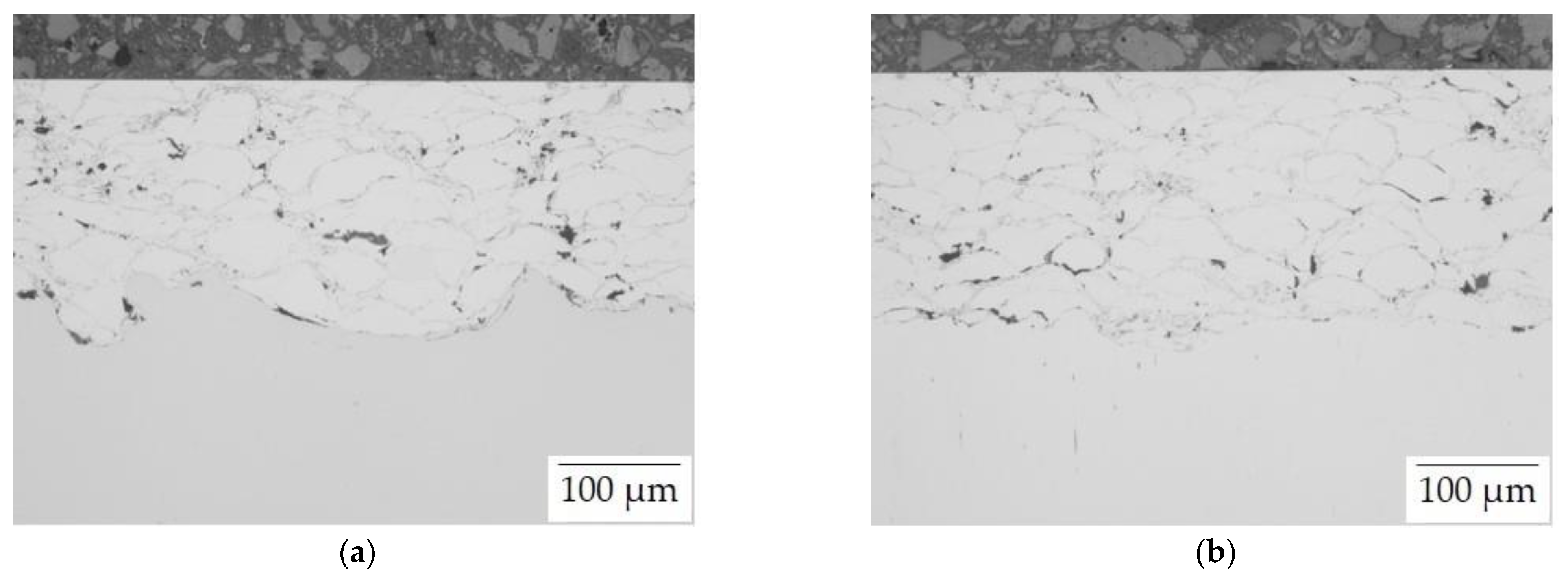 Coatings 12 00344 g003