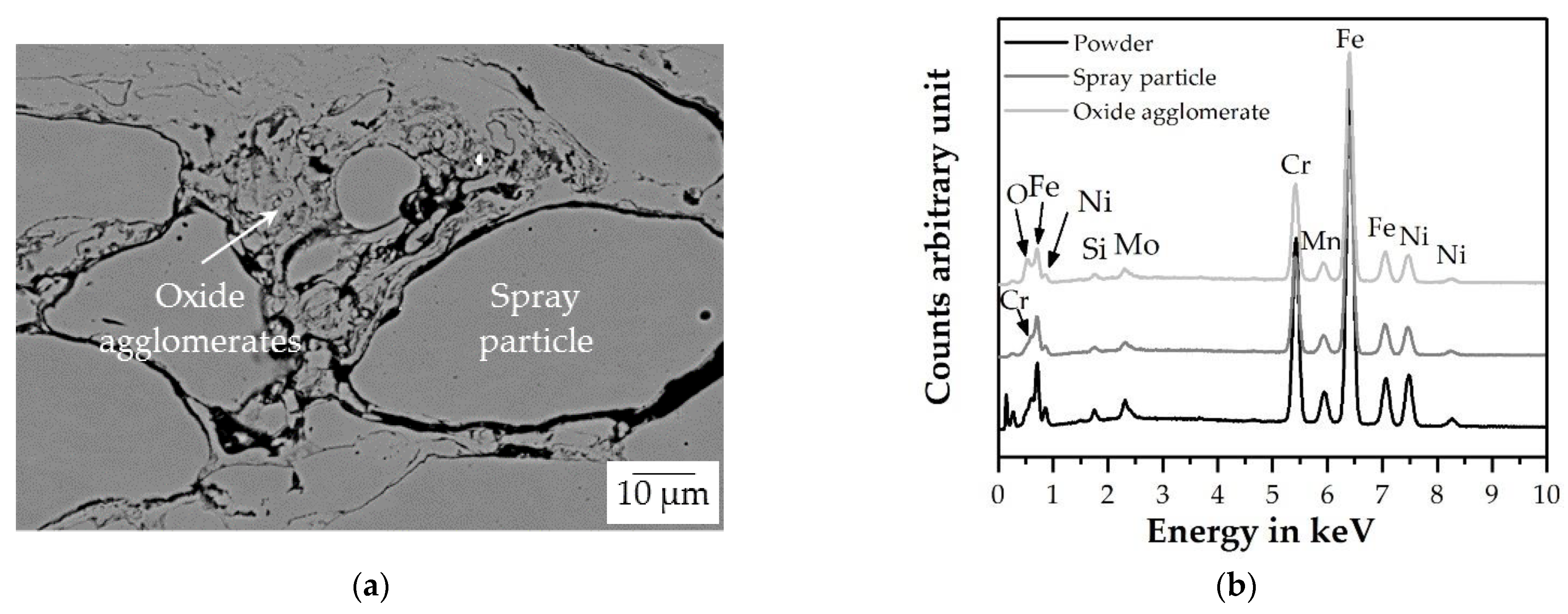 Coatings 12 00344 g004