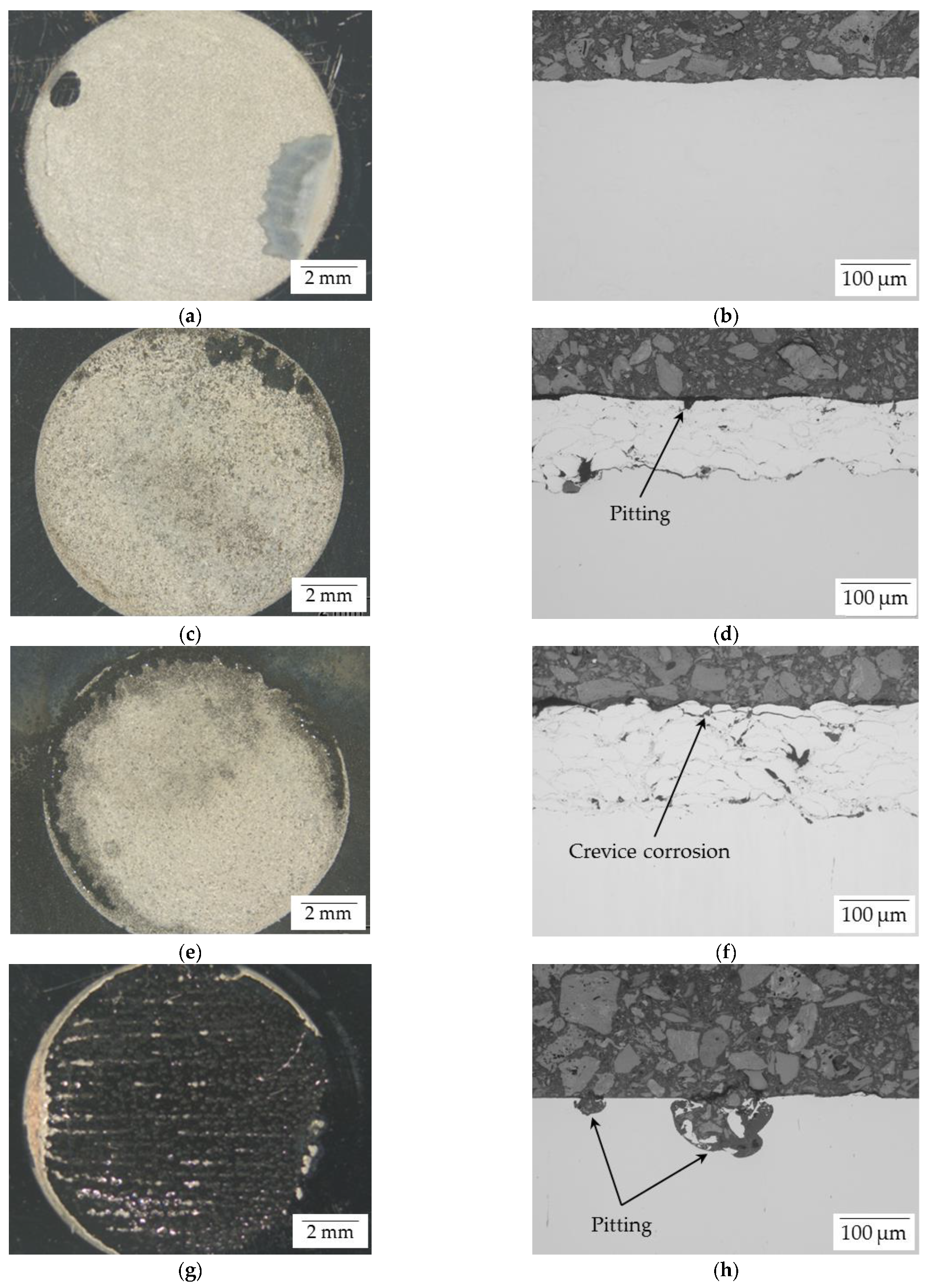 Coatings 12 00344 g006