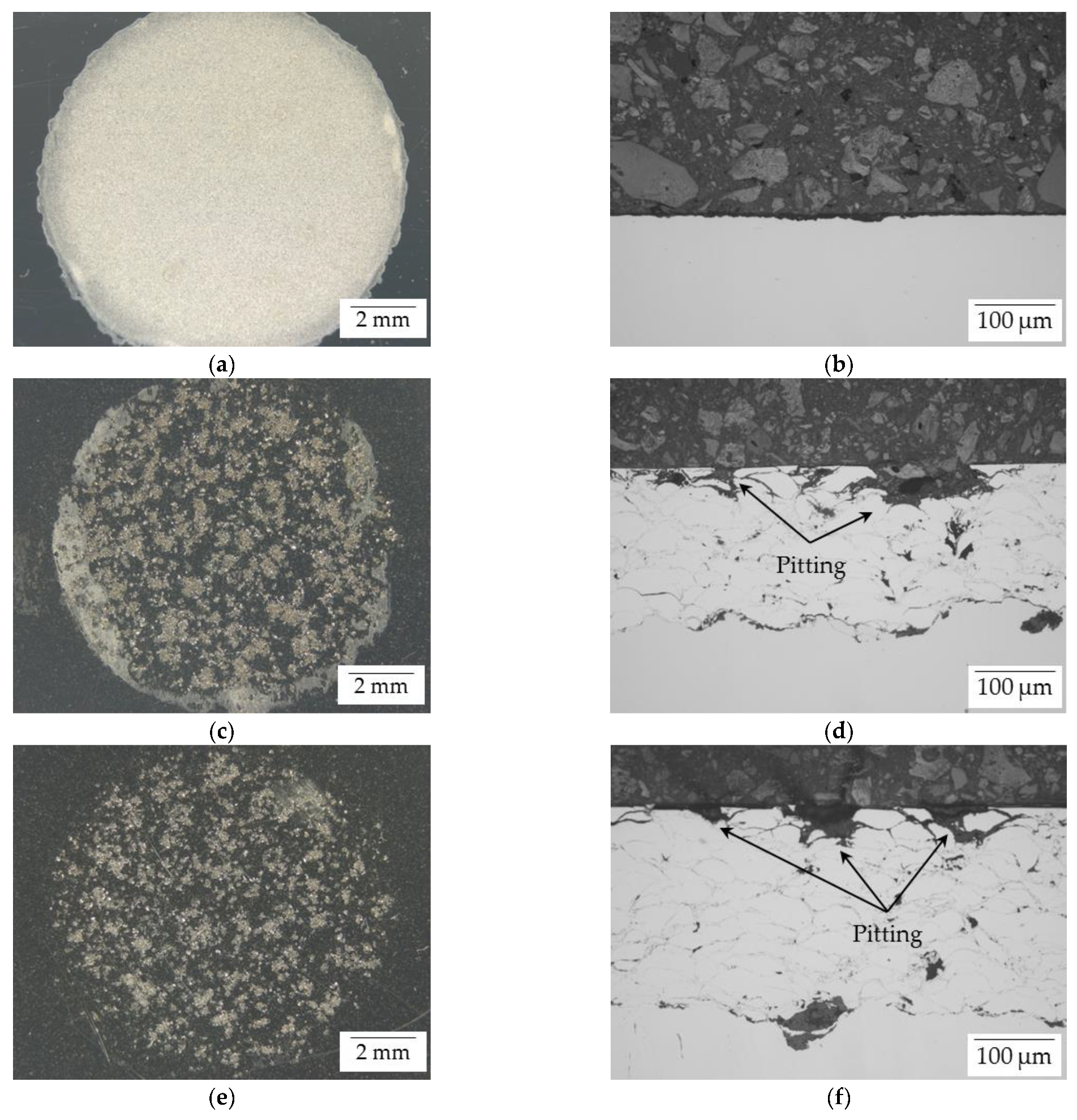 Coatings 12 00344 g008a