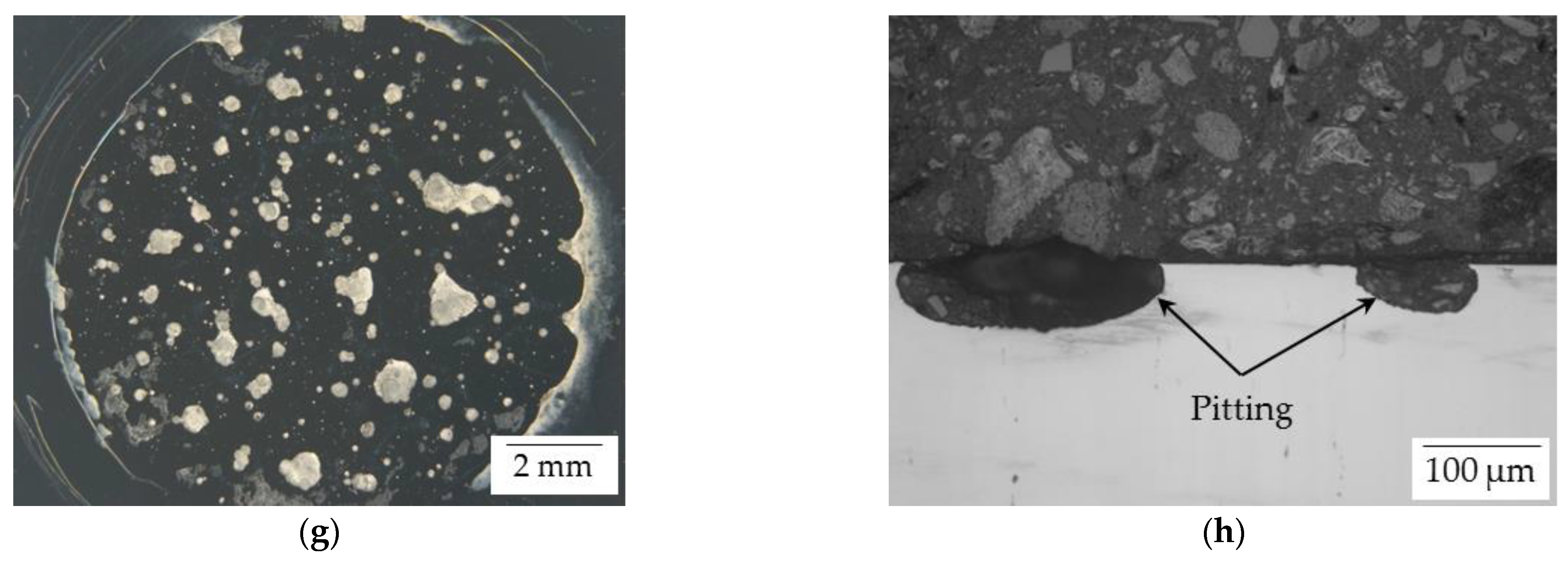 Coatings 12 00344 g008b
