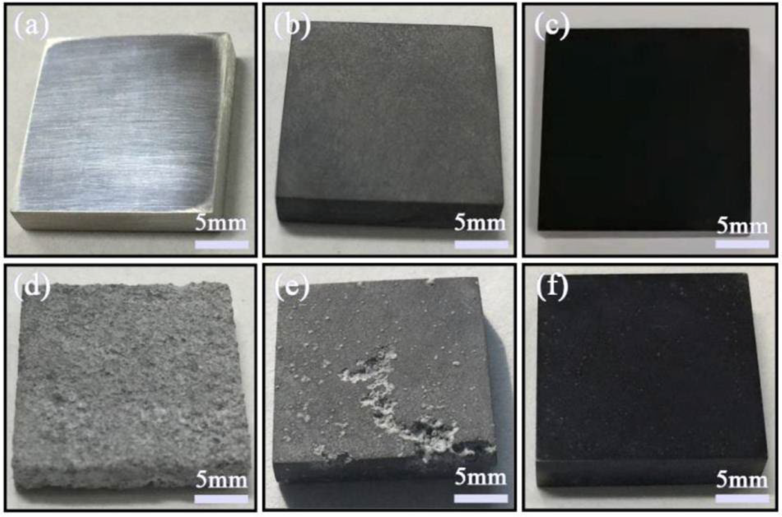 Coatings 12 00516 g050