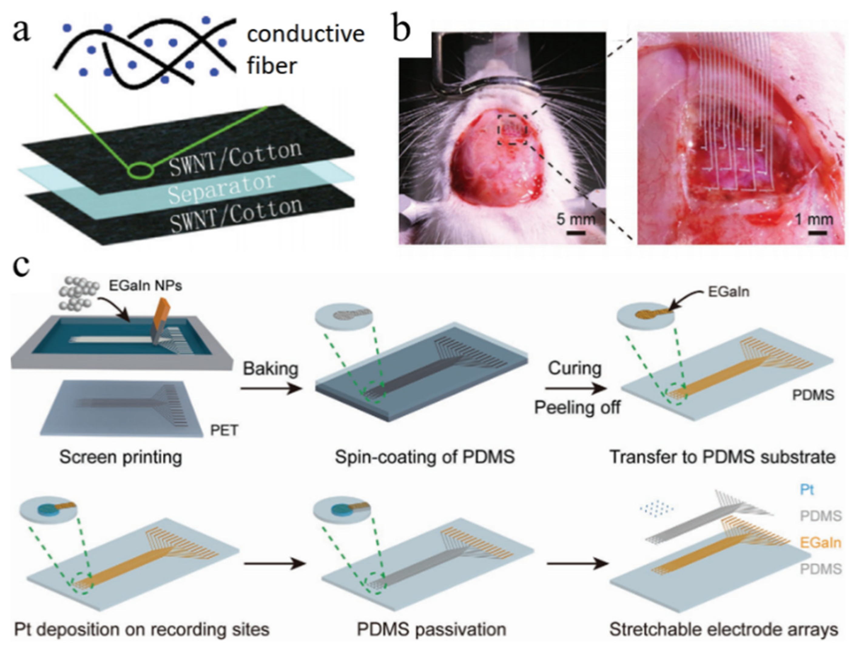 Coatings 12 00558 g006
