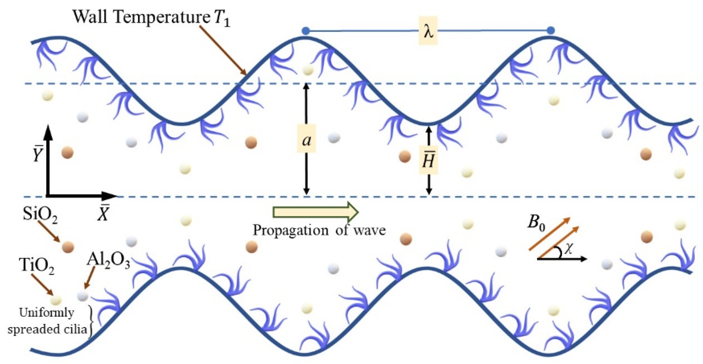 Coatings 12 00873 g001