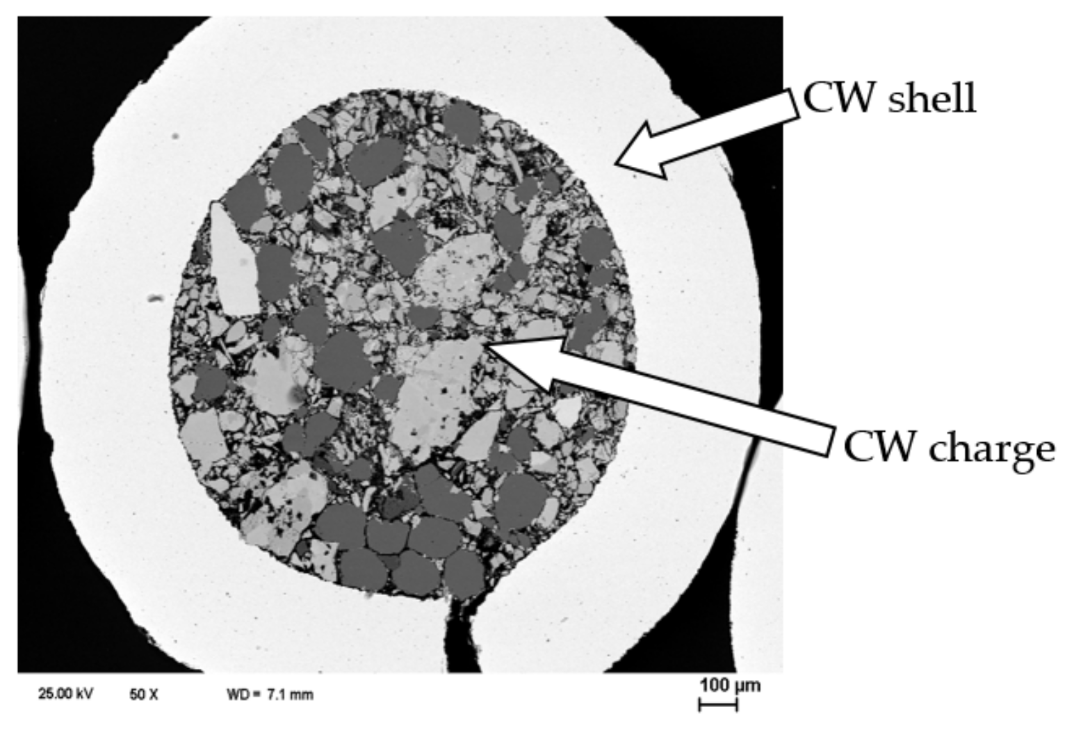 Coatings 12 00925 g001