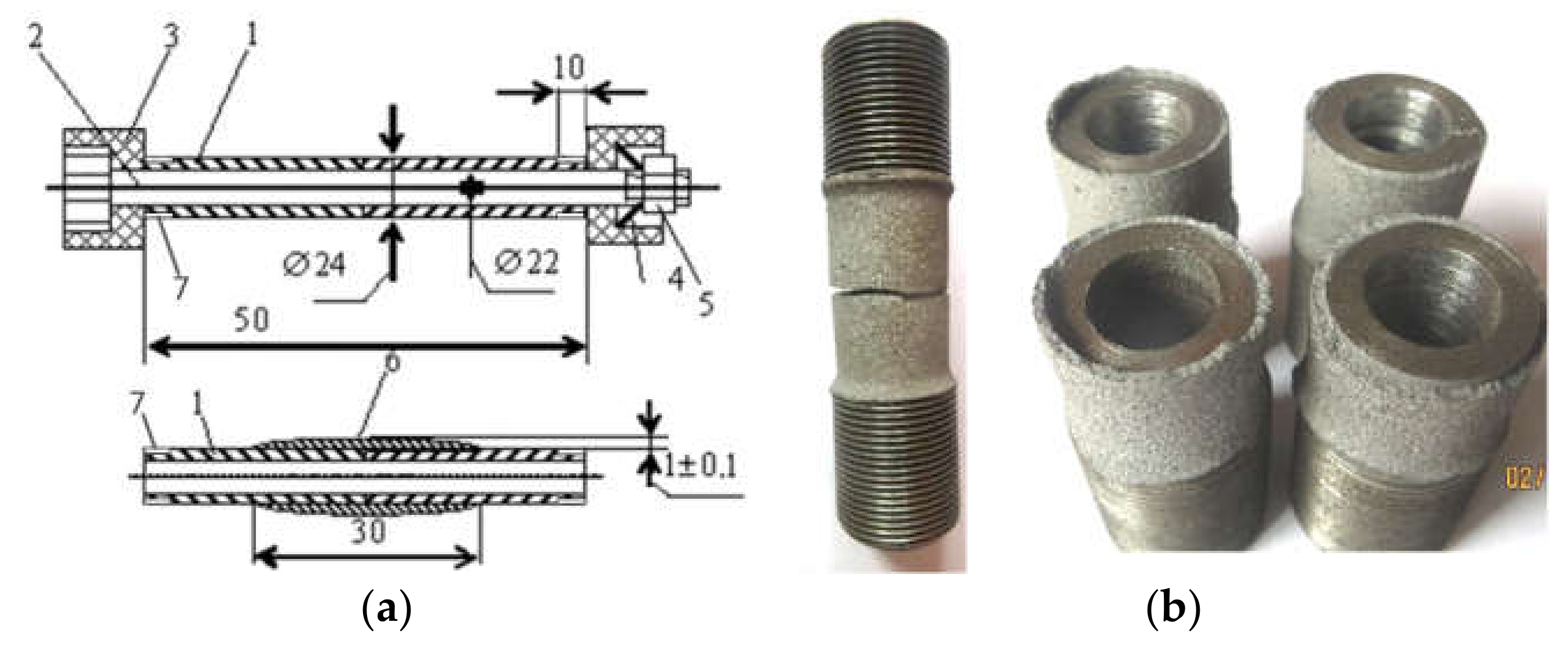Coatings 12 00925 g005