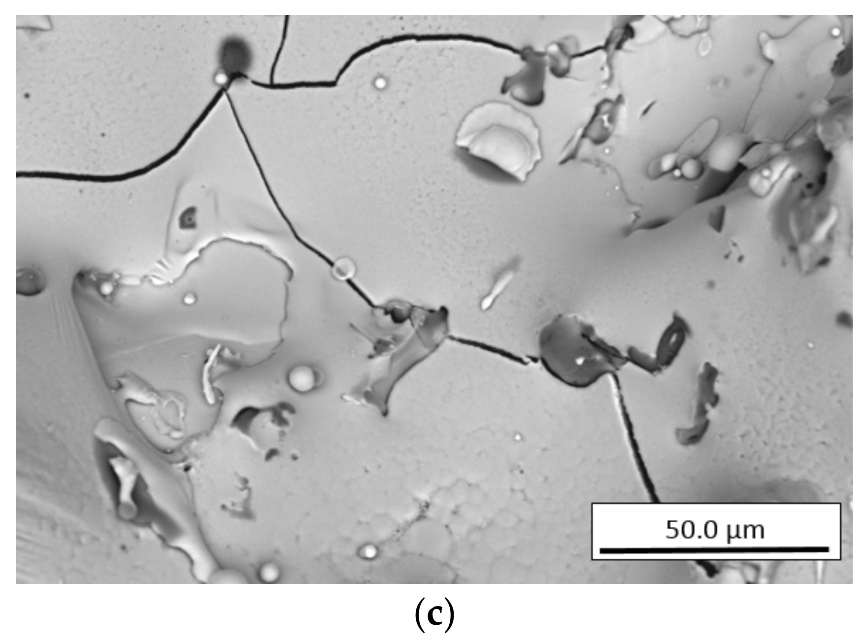 Coatings 12 00925 g012b