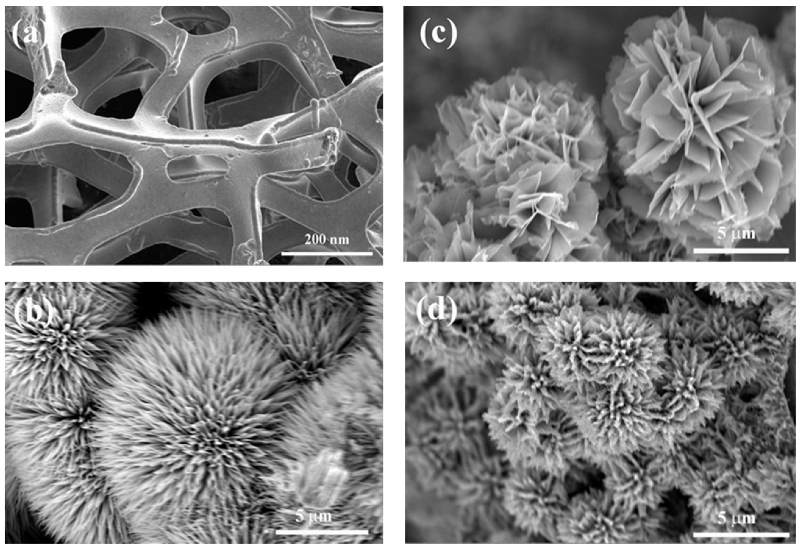 Coatings 12 01240 g003