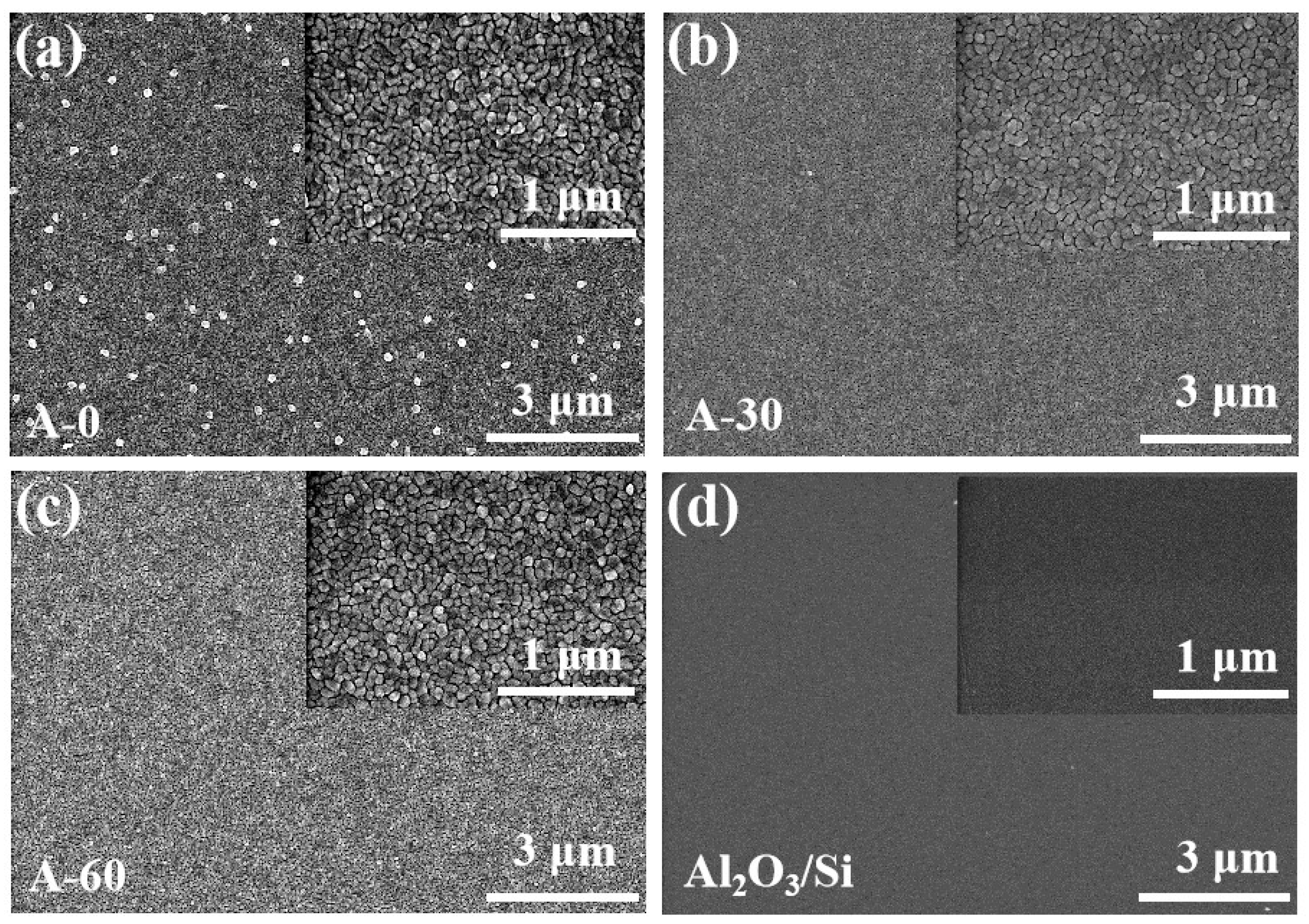 Coatings 12 01276 g002