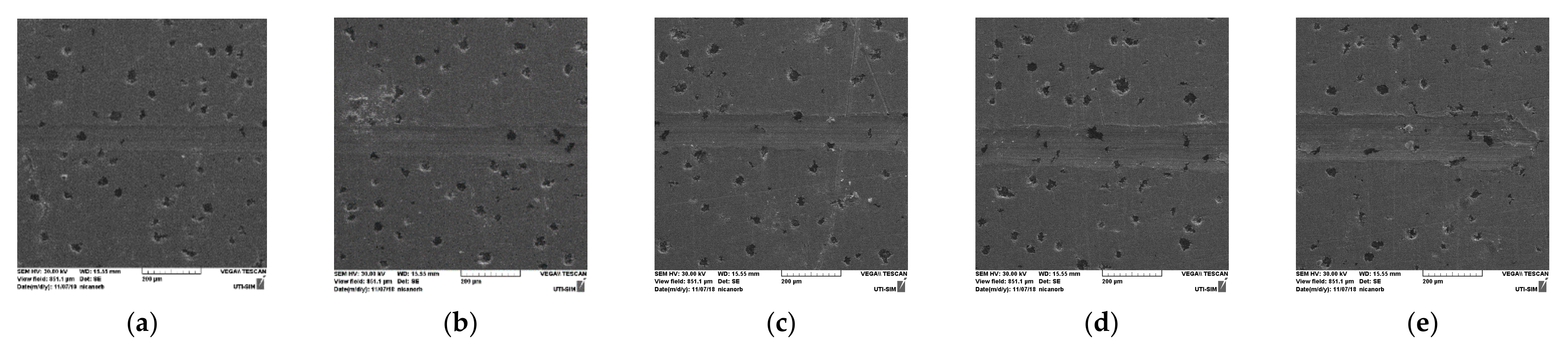 Coatings 12 01384 g009