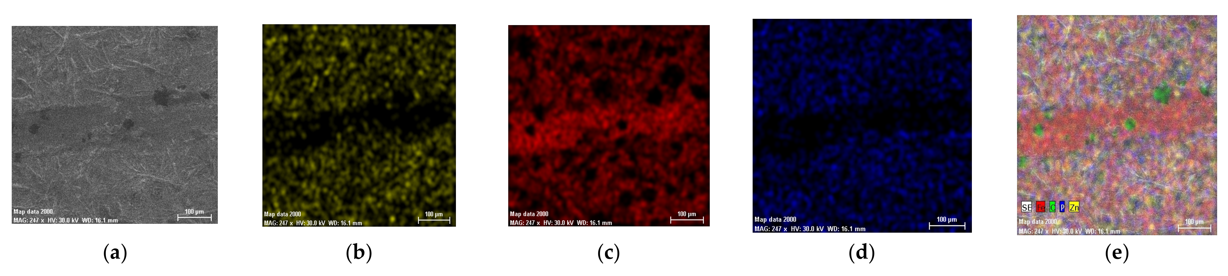 Coatings 12 01384 g017