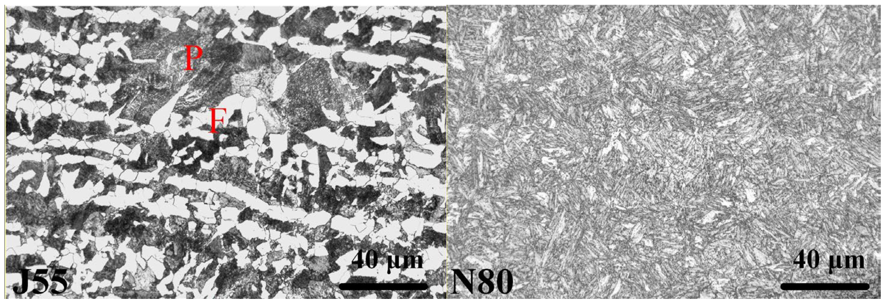 Coatings 12 01402 g001