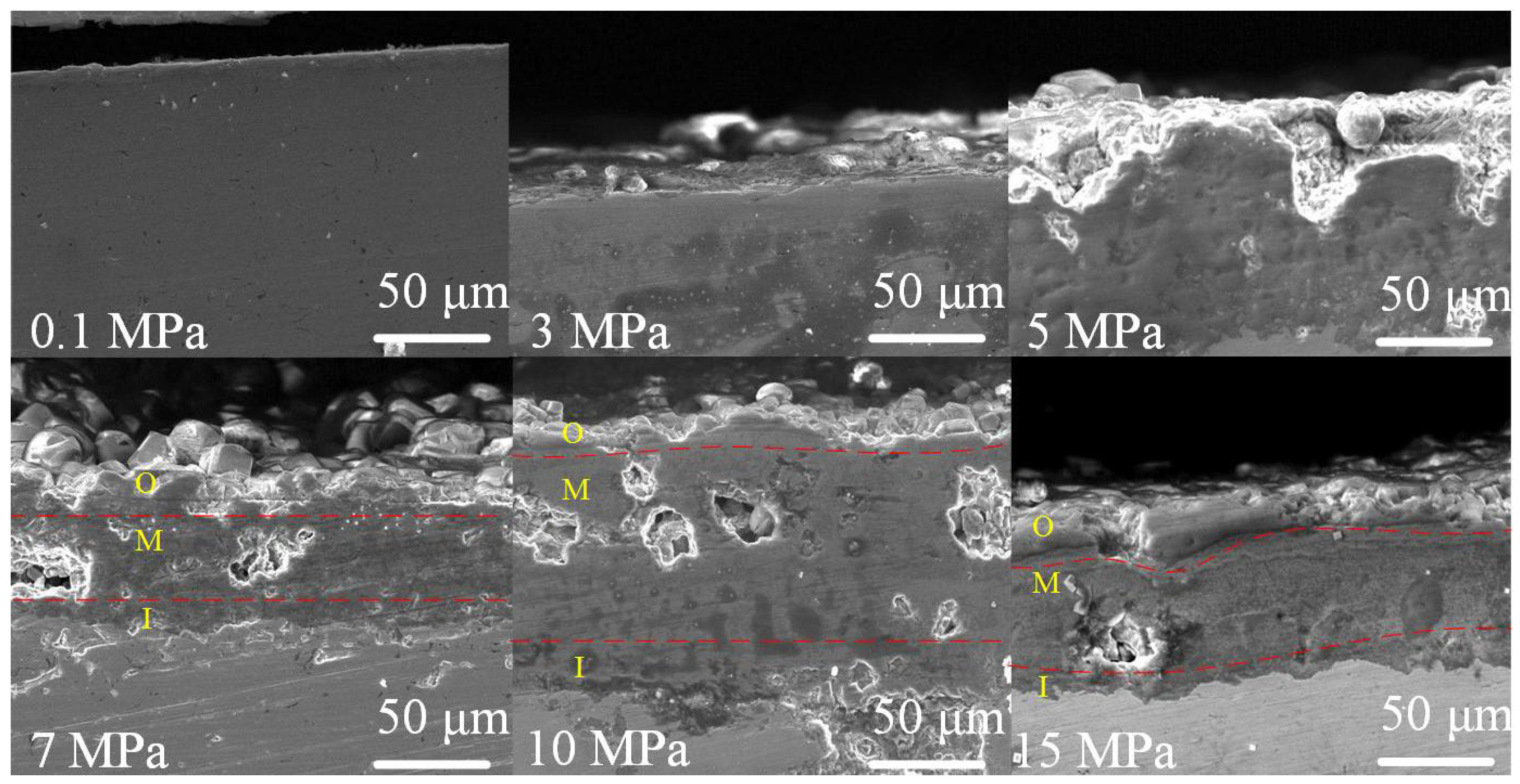 Coatings 12 01402 g008