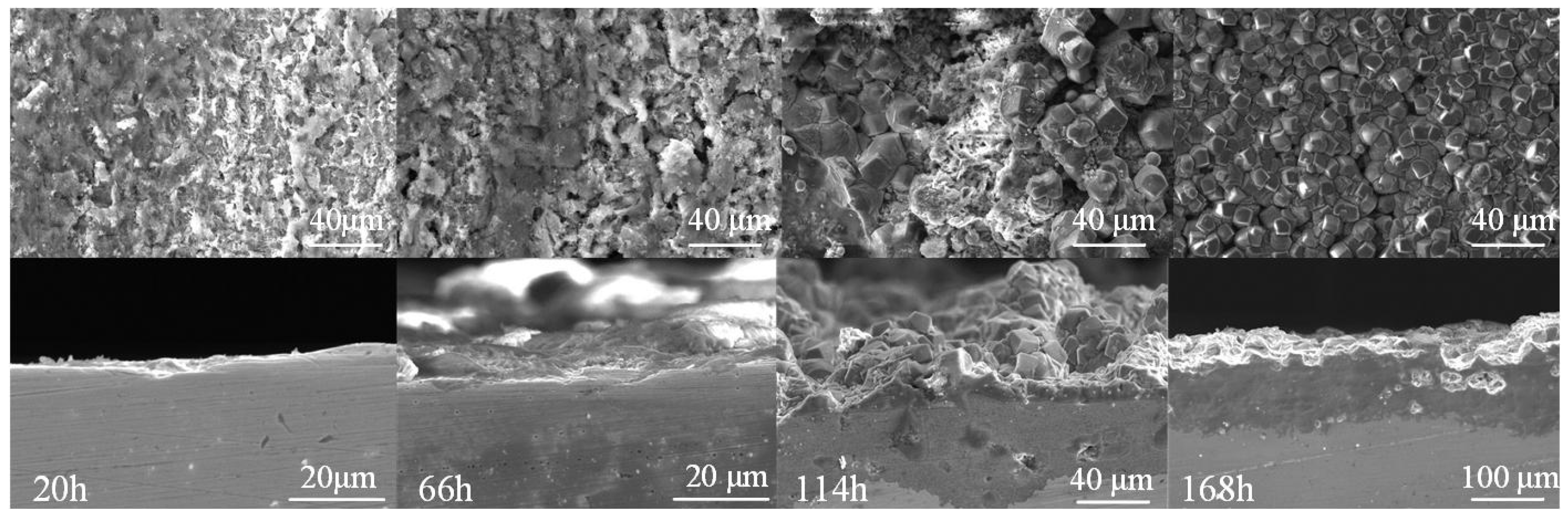 Coatings 12 01402 g011
