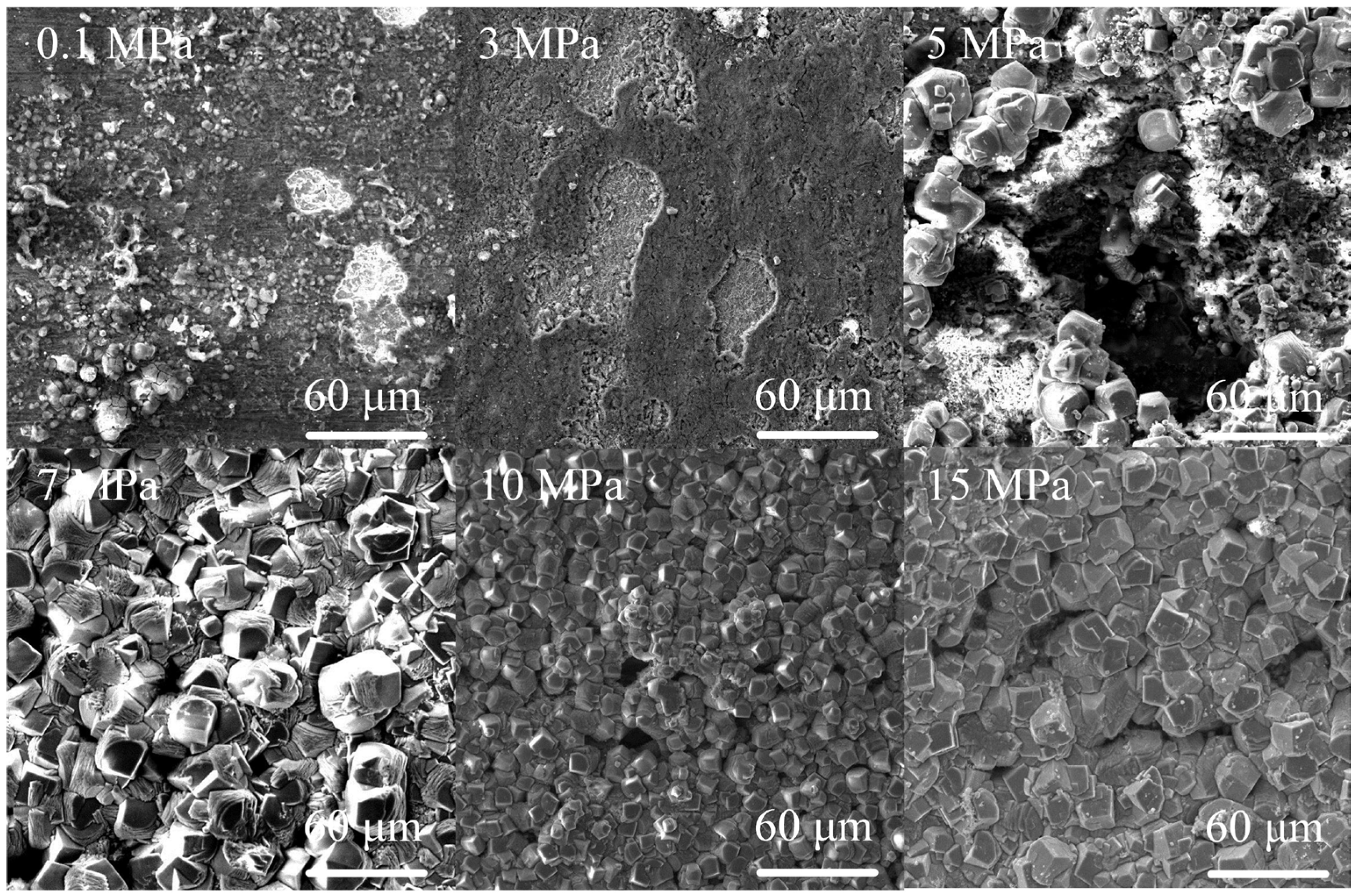 Coatings 12 01402 g012