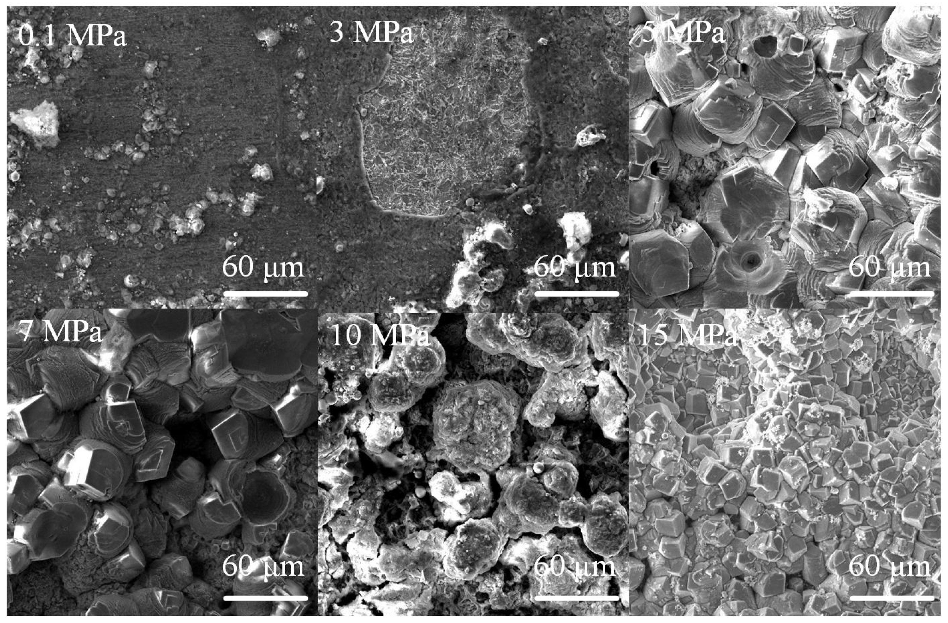 Coatings 12 01402 g013