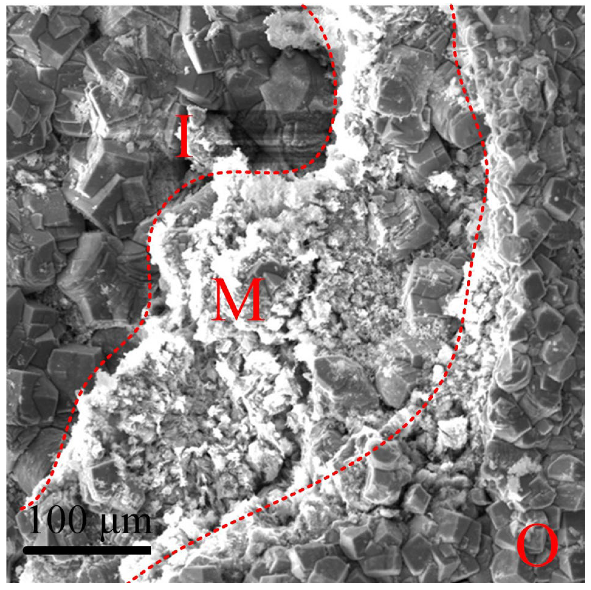 Coatings 12 01402 g016