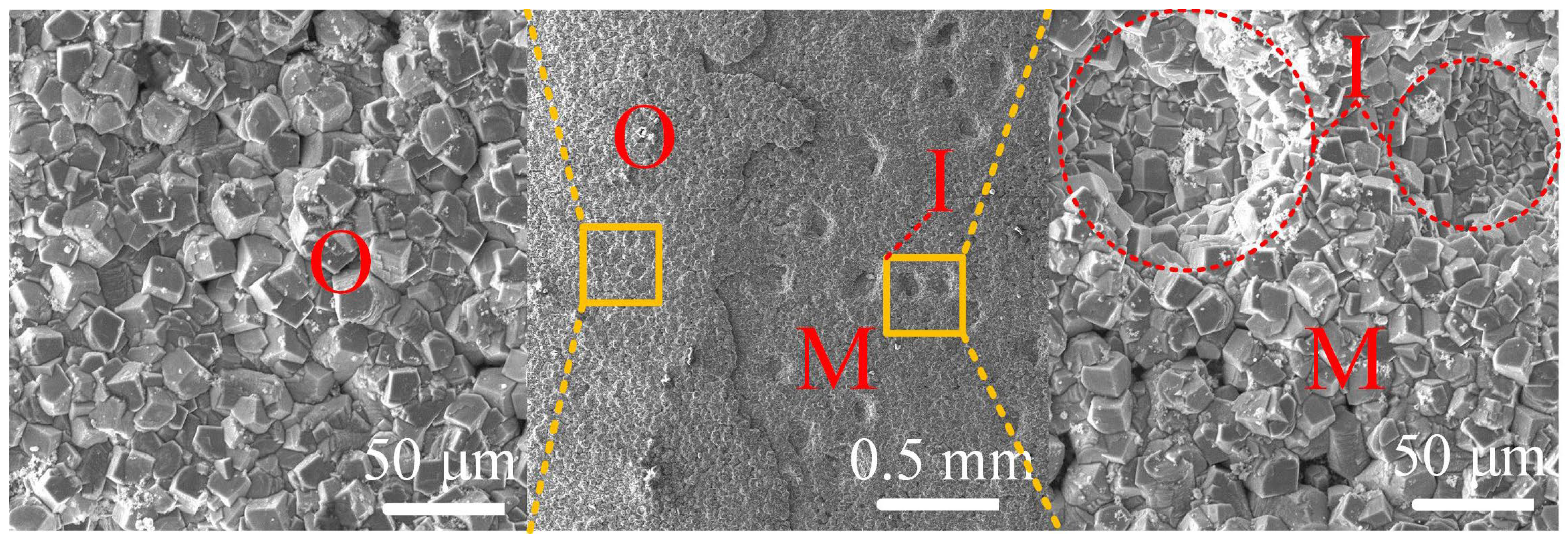 Coatings 12 01402 g017