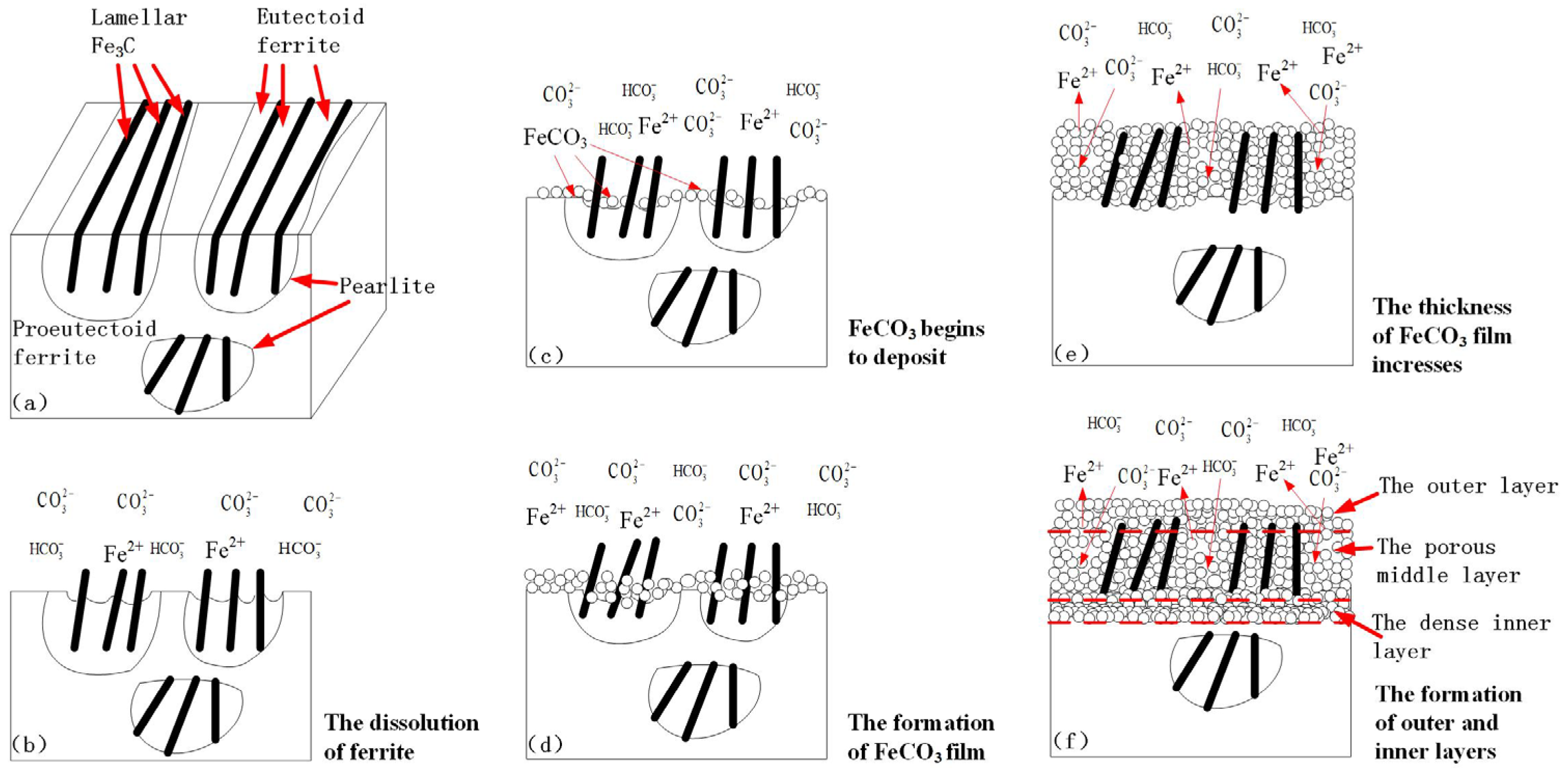 Coatings 12 01402 g018