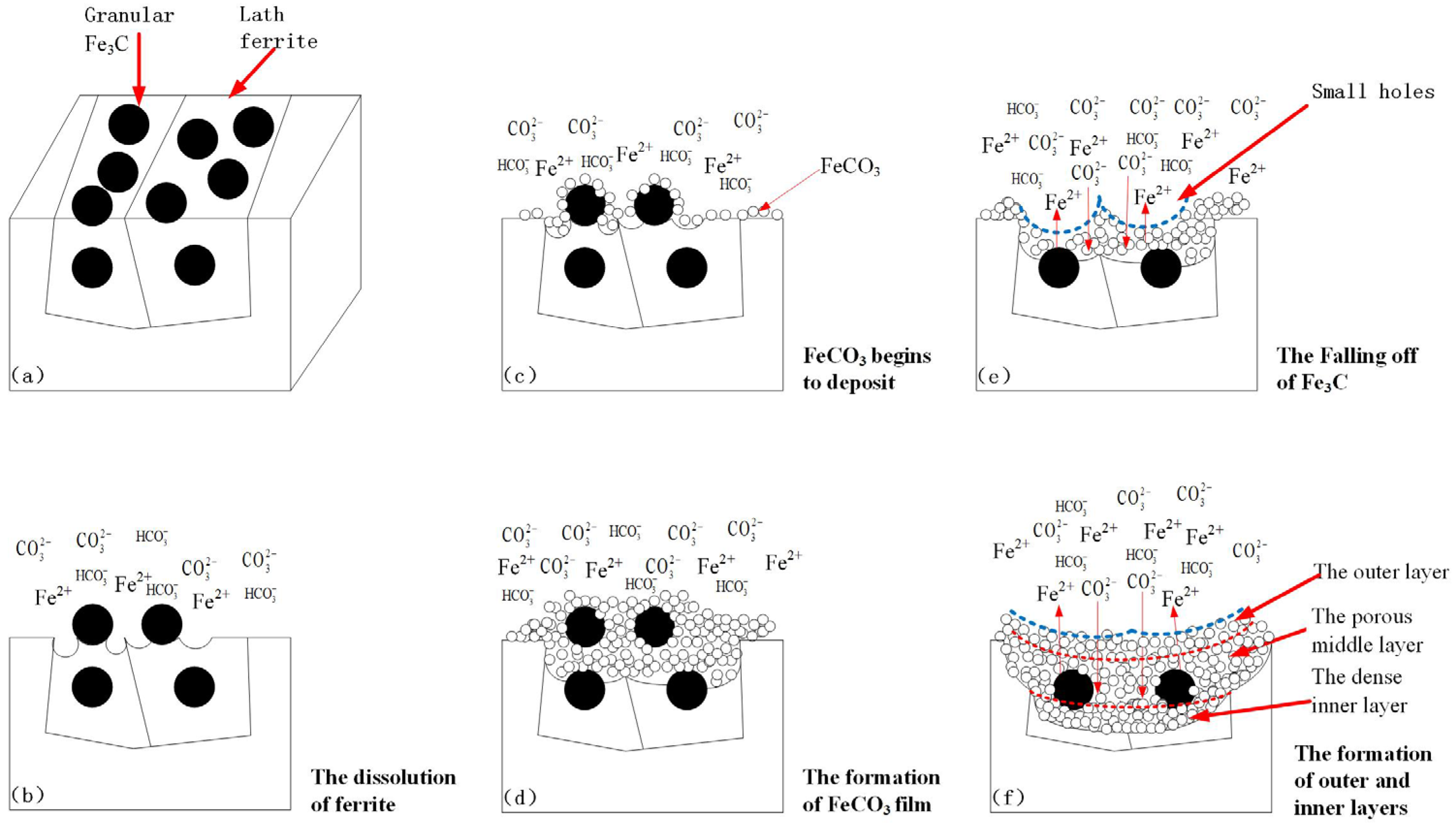 Coatings 12 01402 g019