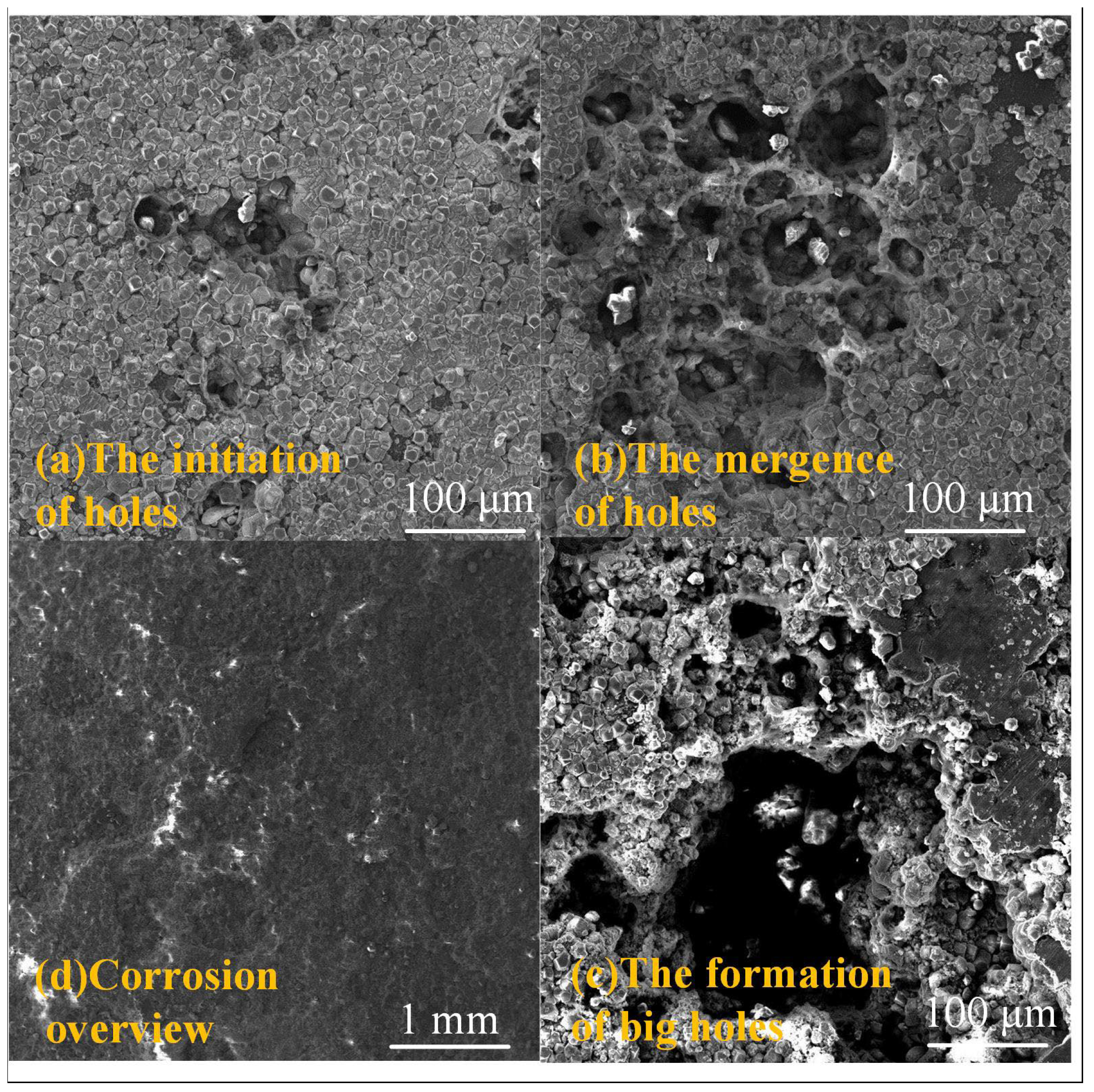 Coatings 12 01402 g020