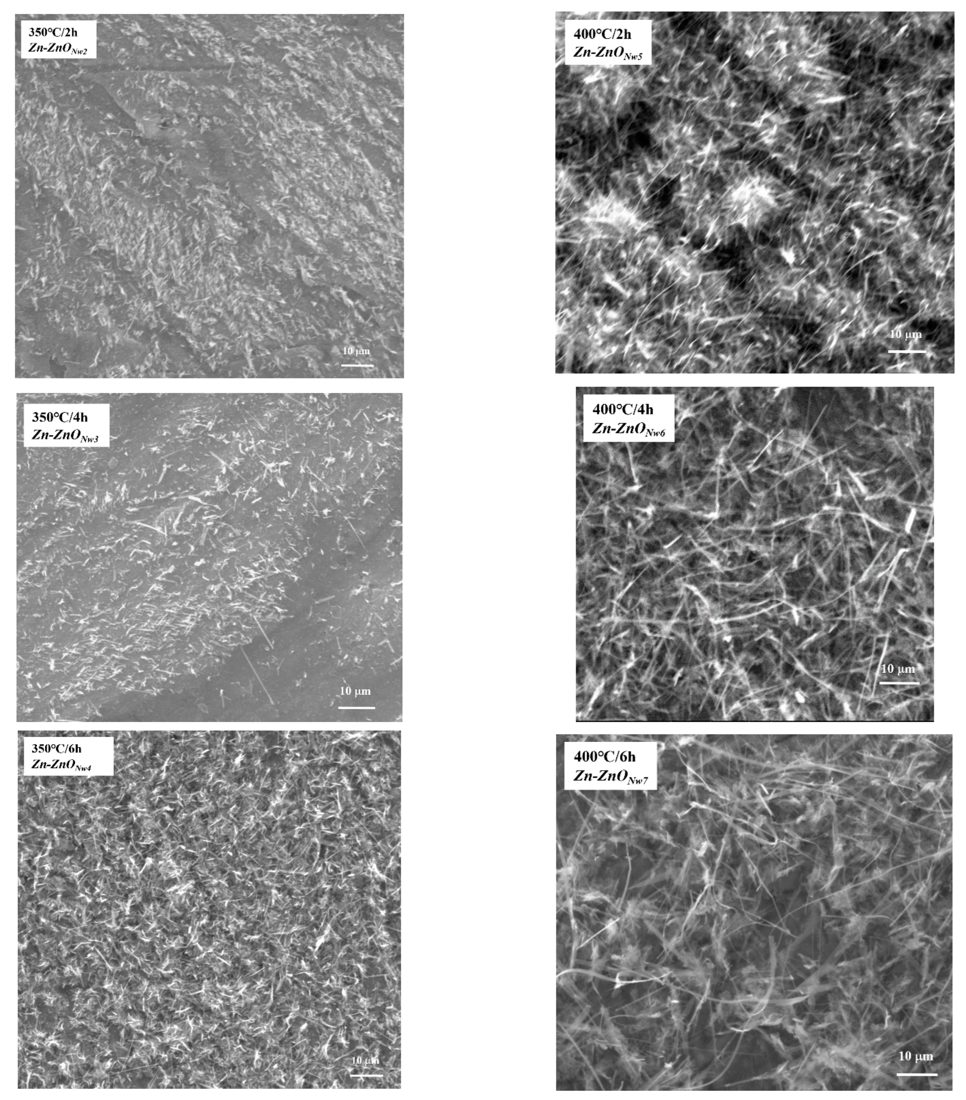 Coatings 12 01630 g004b
