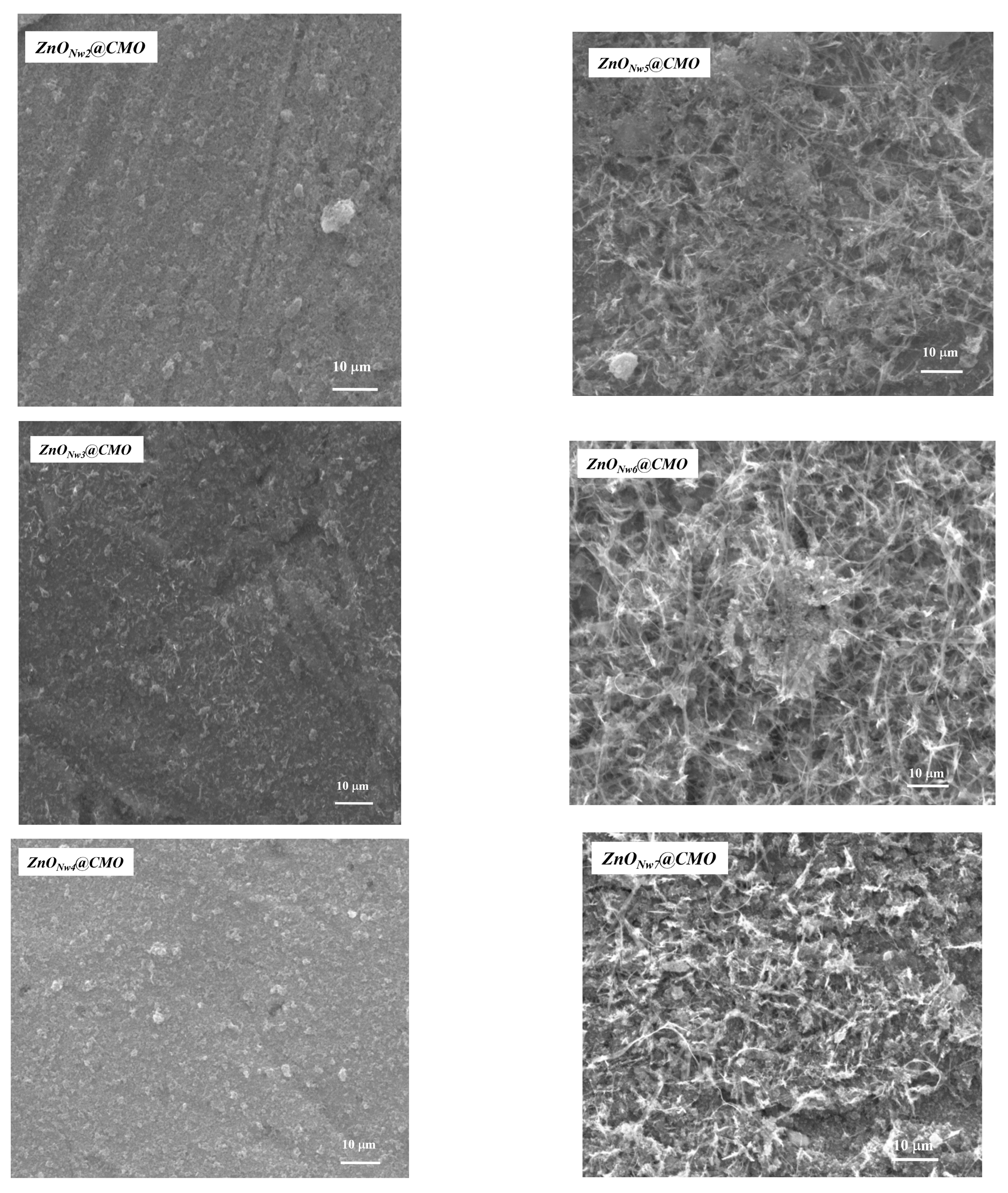 Coatings 12 01630 g005