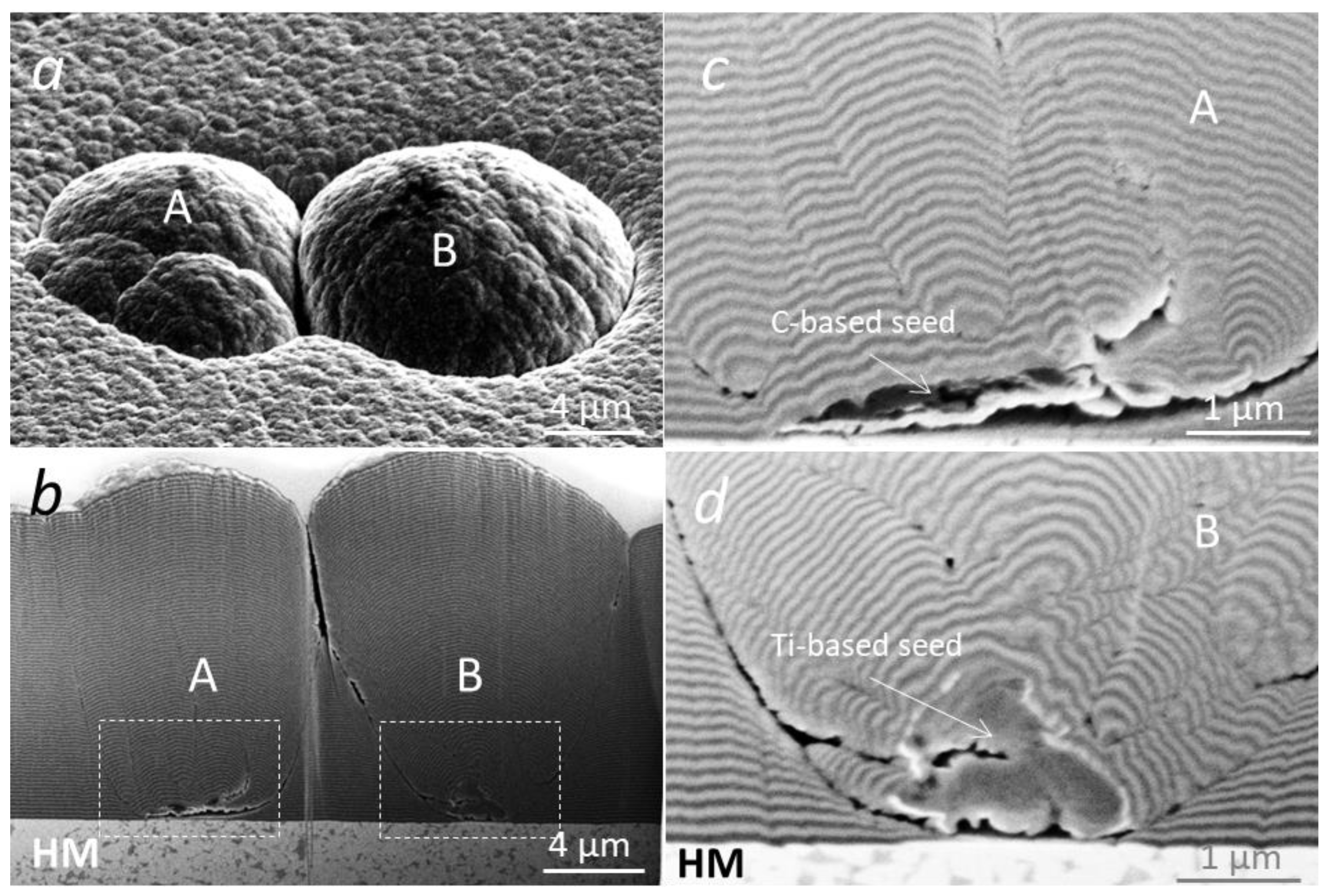 Coatings 12 01725 g013