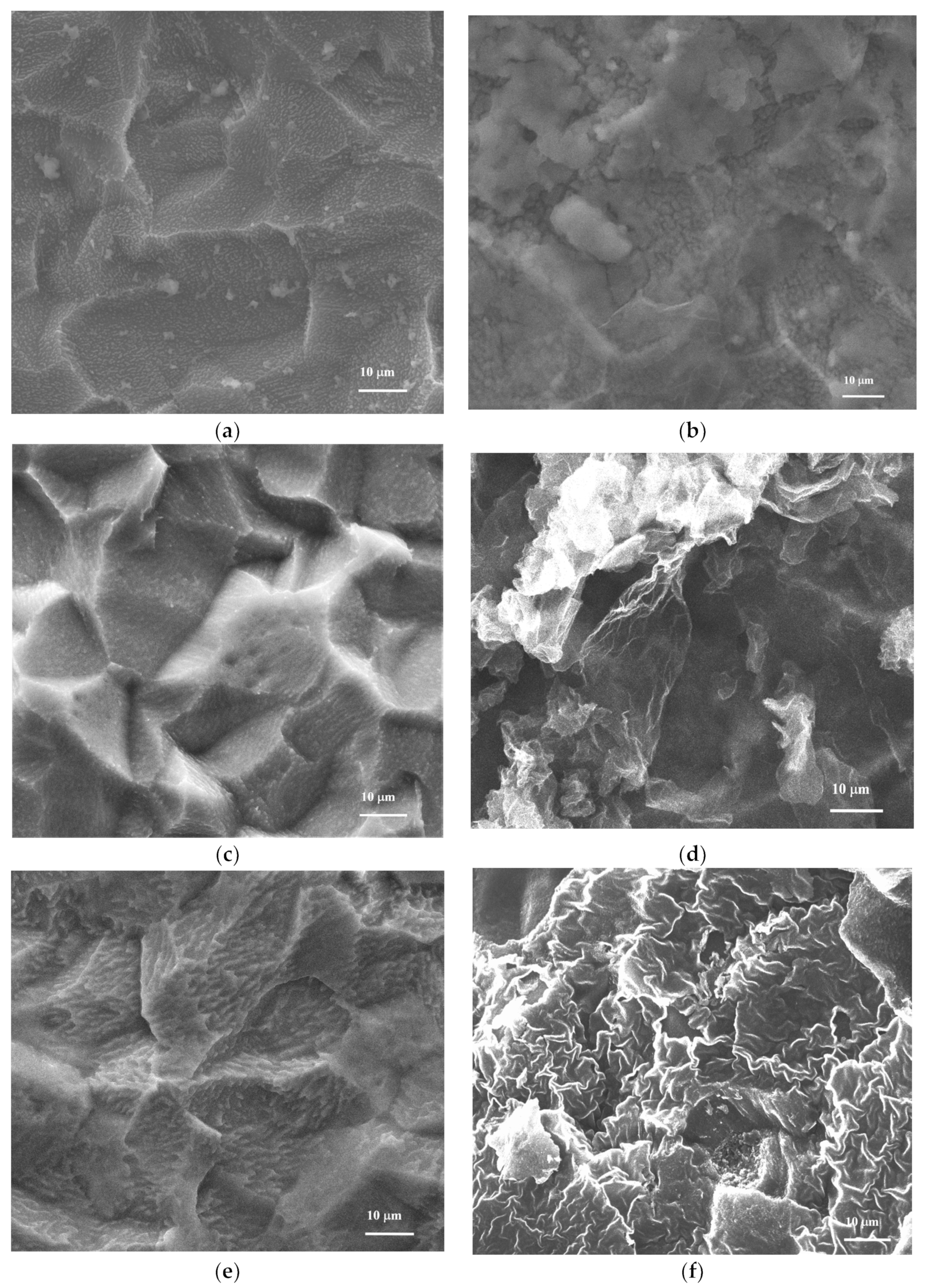 Coatings 12 01805 g003