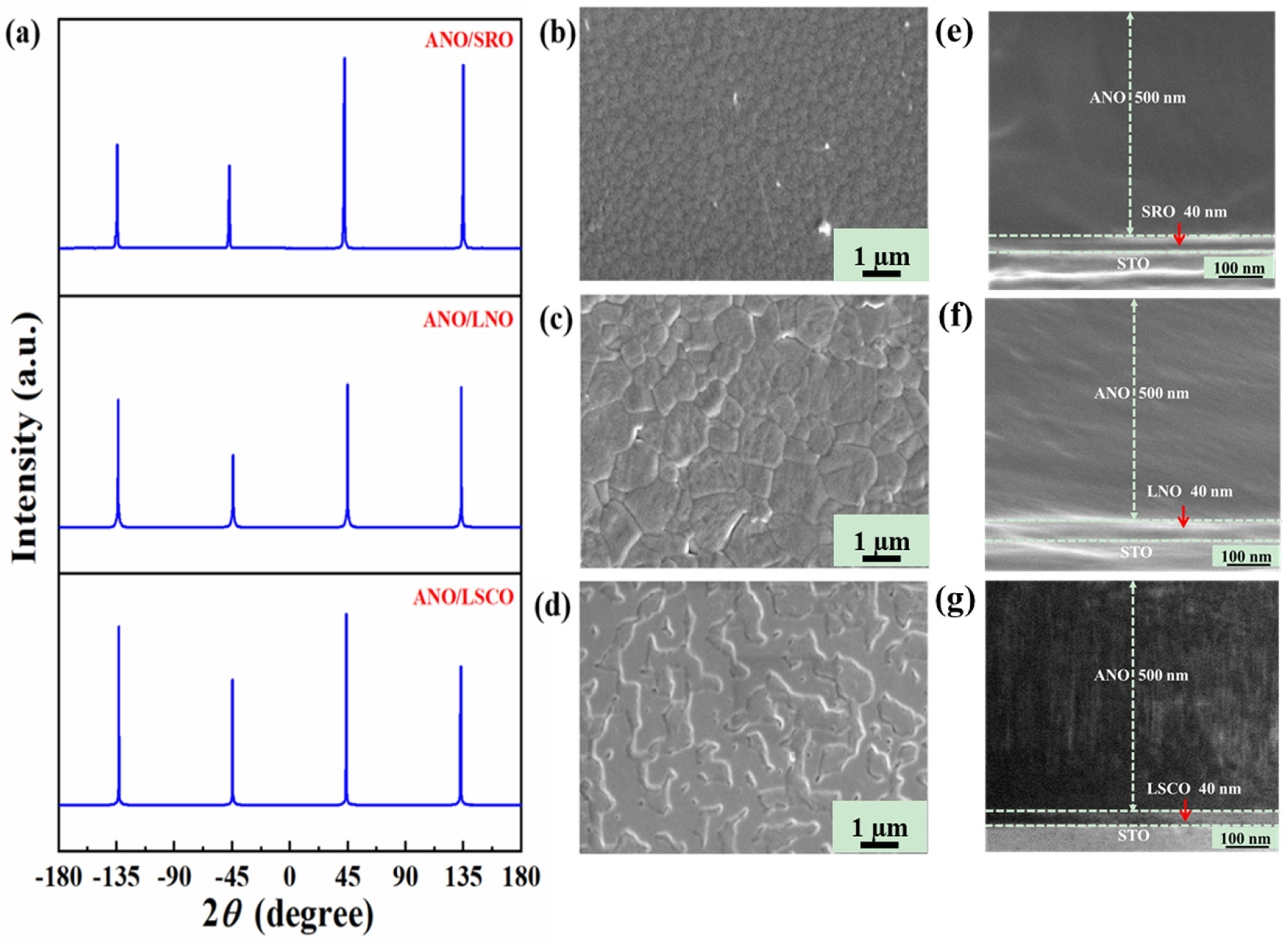 Coatings 12 01826 g002