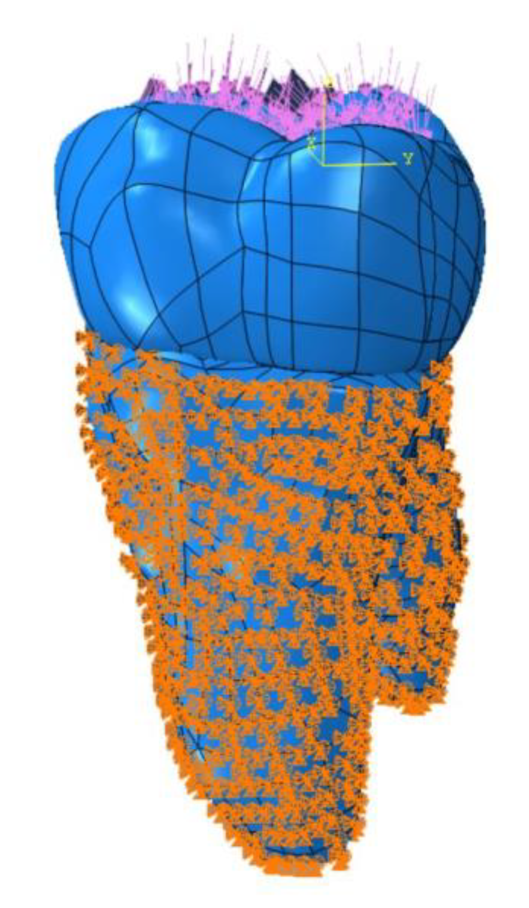 Coatings 13 00006 g001