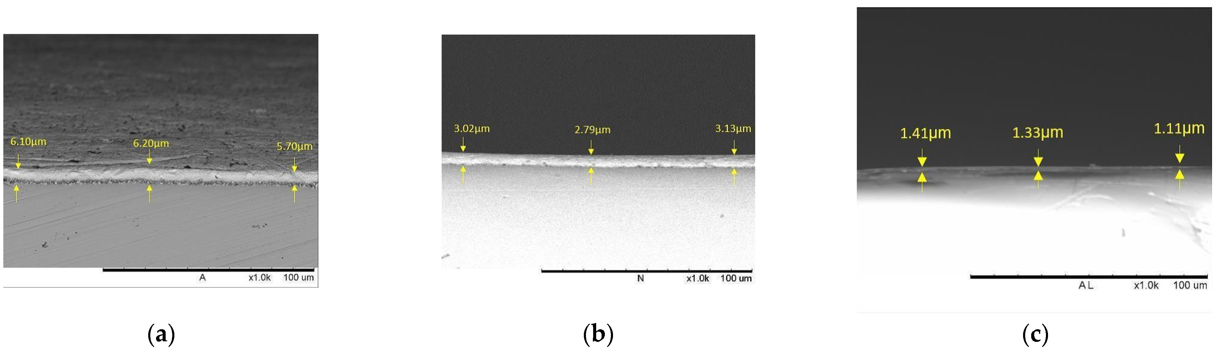 Coatings 13 00012 g019