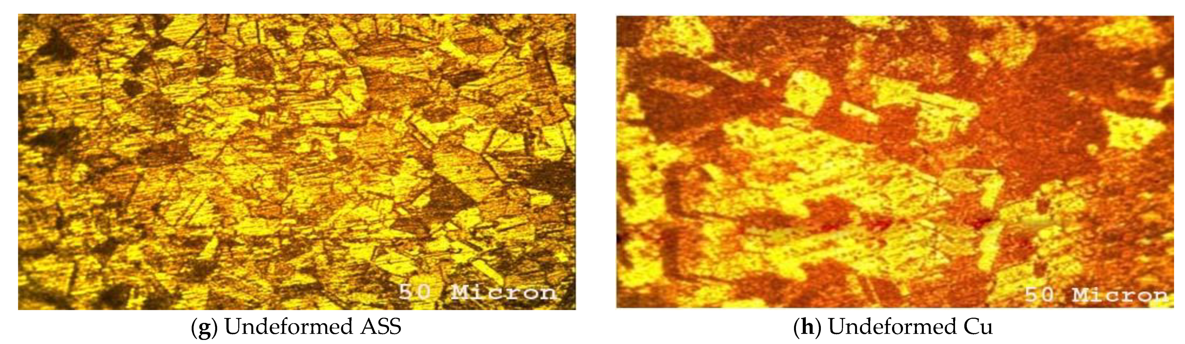 Coatings 13 00261 g004b