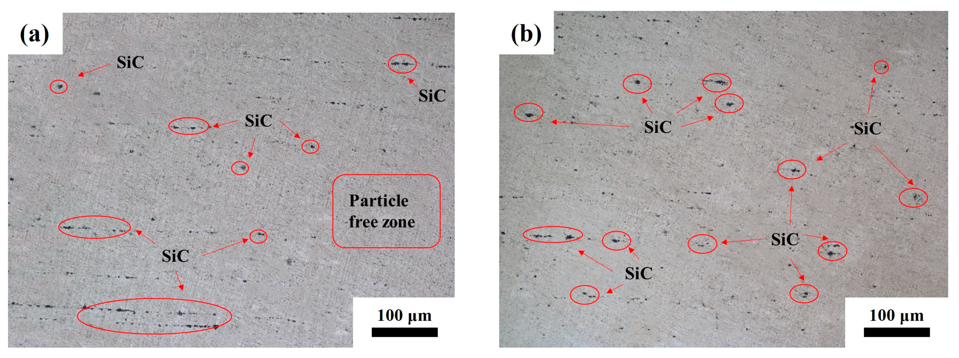 Coatings 13 00512 g004