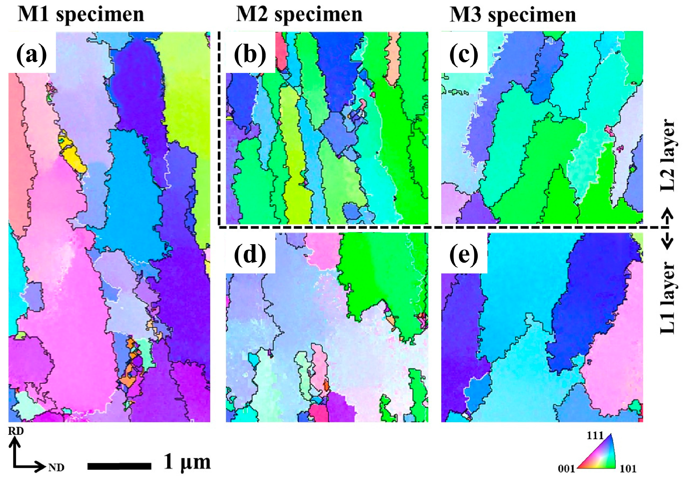 Coatings 13 00512 g005