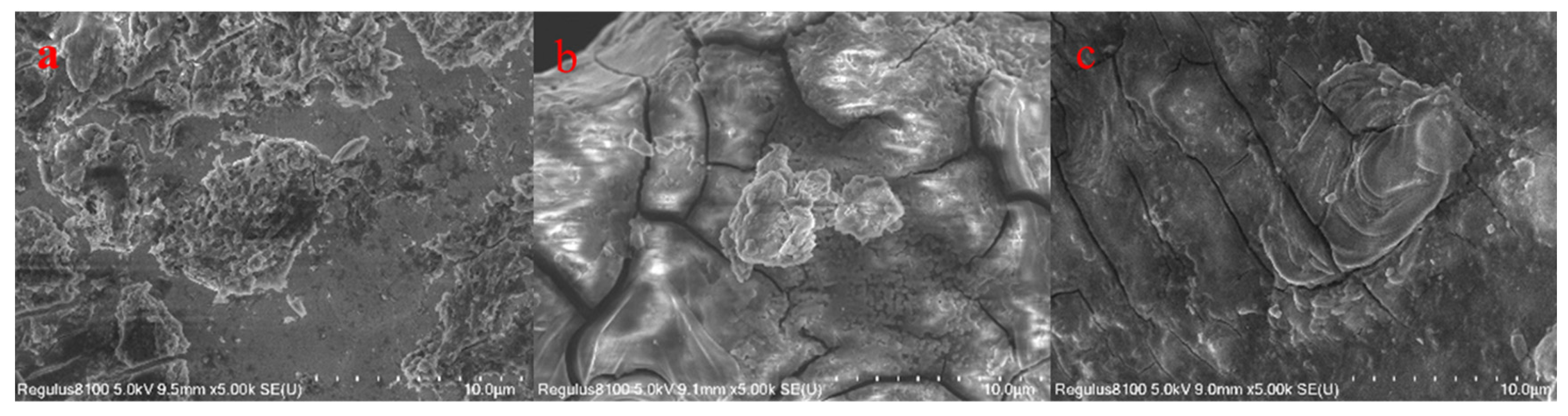 Coatings 13 00908 g002a