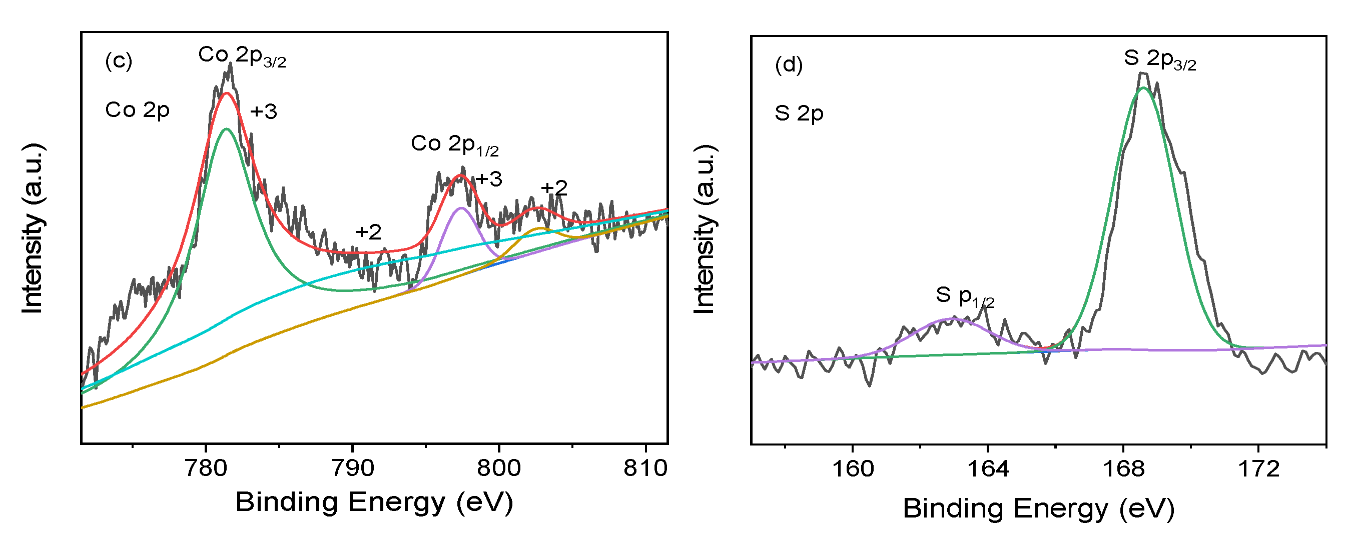 Coatings 13 00908 g004b