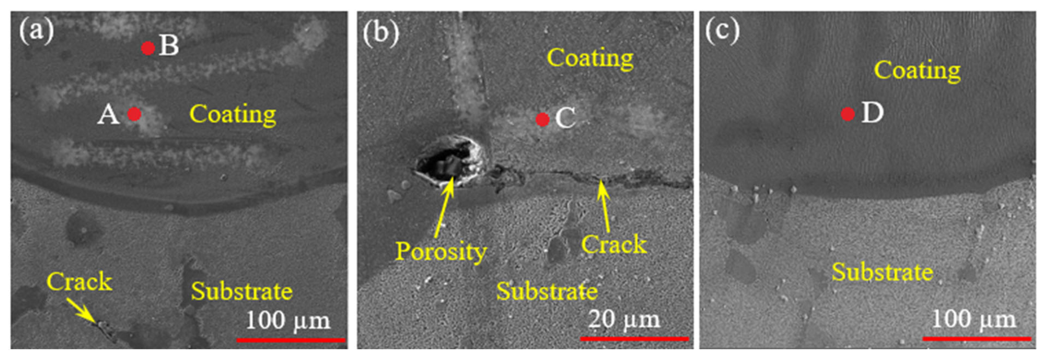 Coatings 13 00995 g002