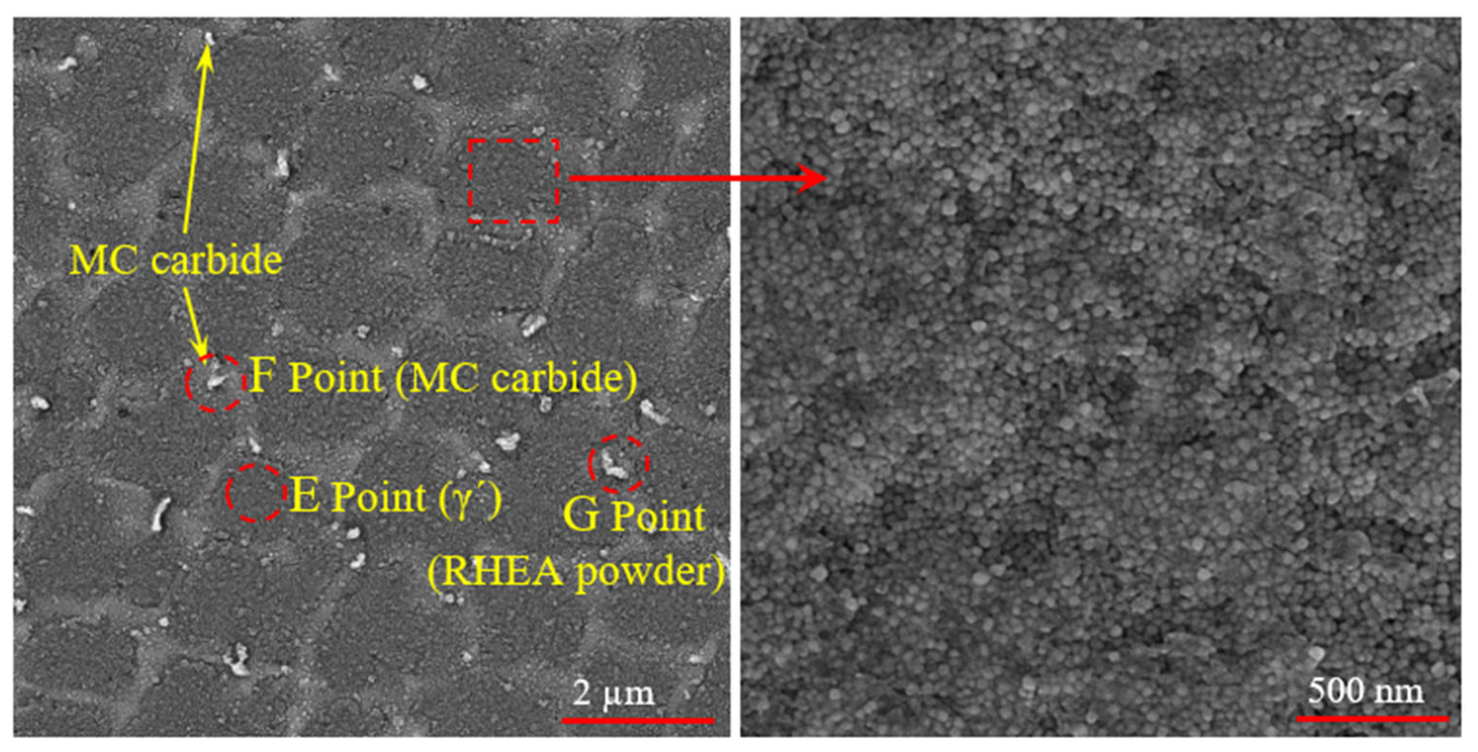 Coatings 13 00995 g006