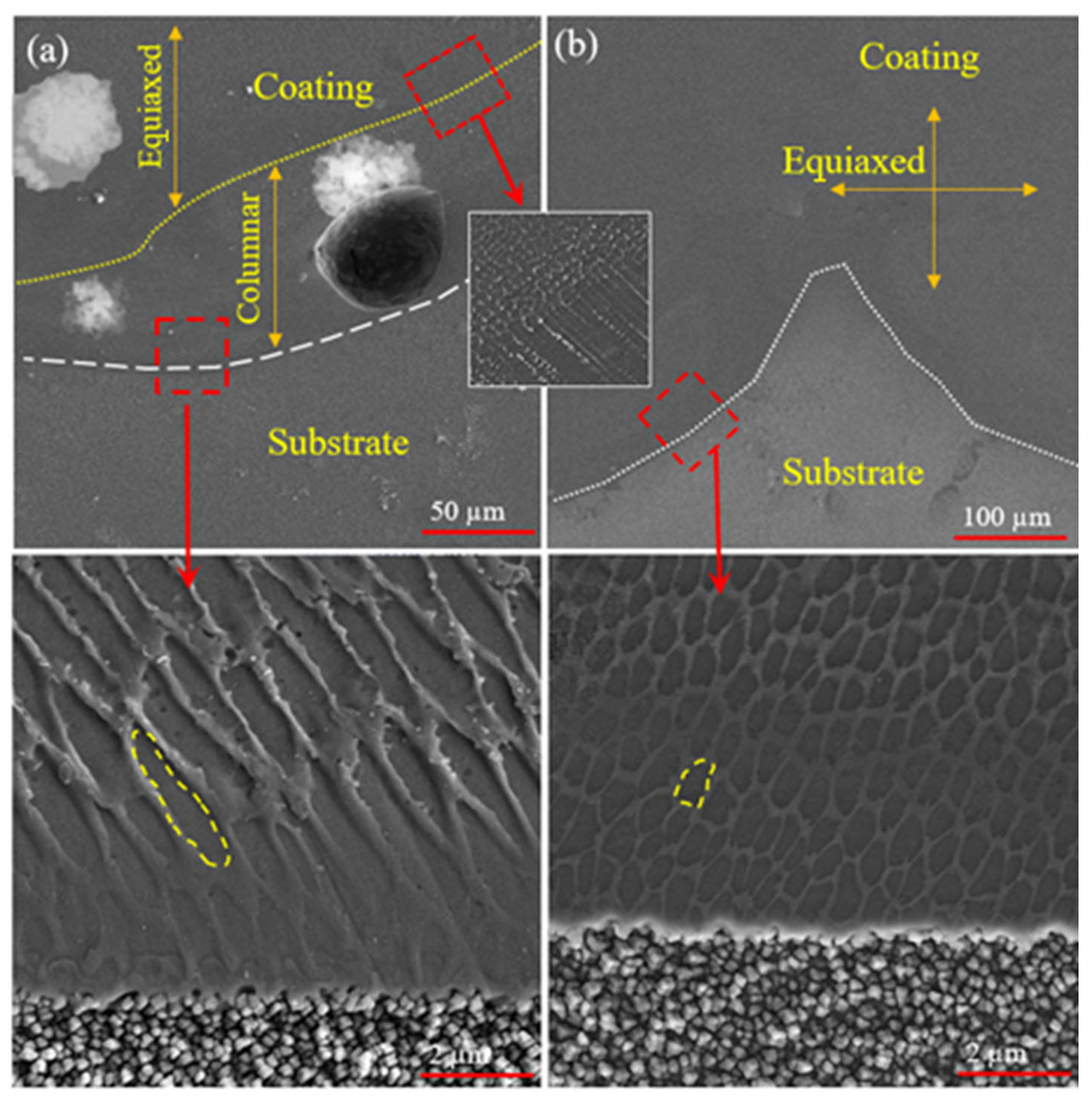 Coatings 13 00995 g009